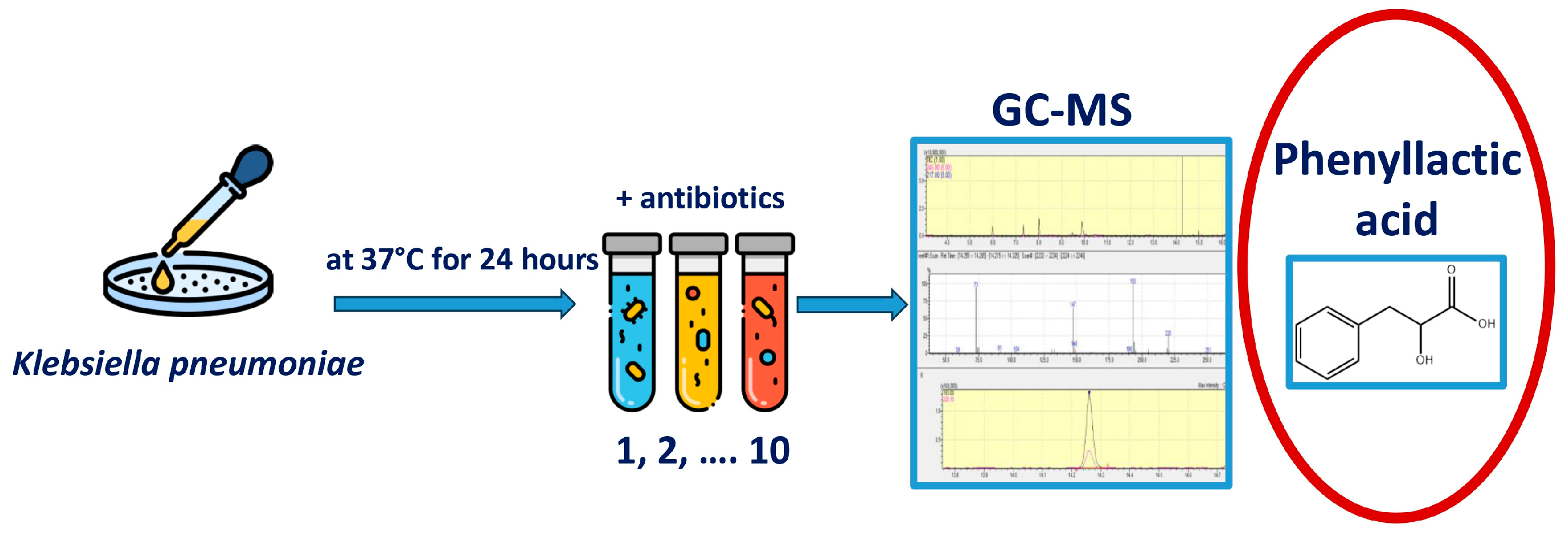 Microorganisms 13 02599 g001