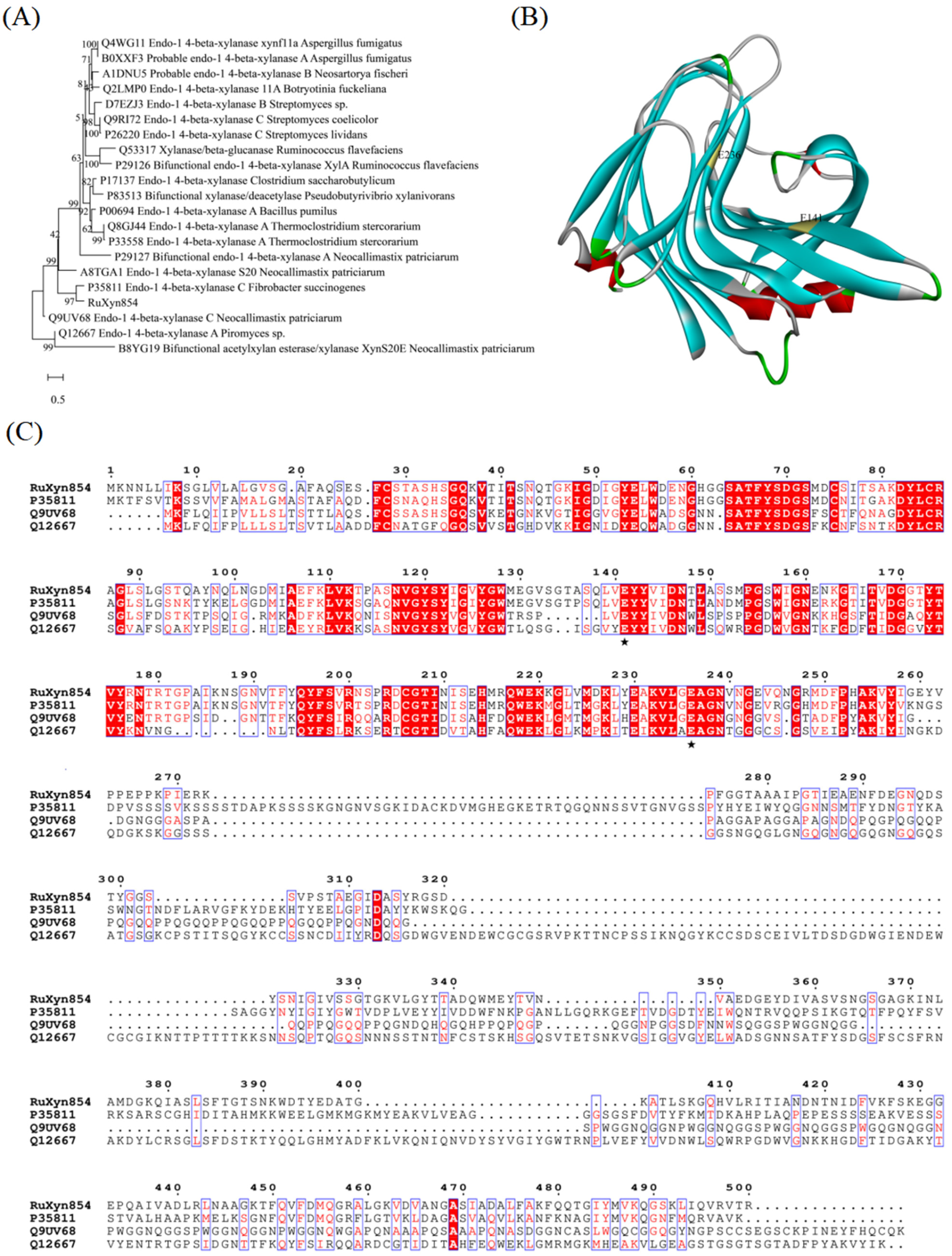 Microorganisms 13 02602 g001