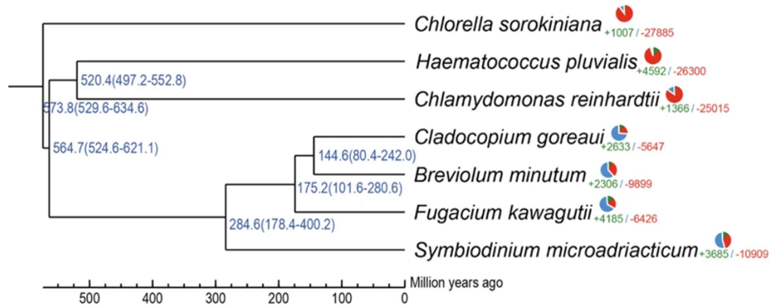 Microorganisms 13 02606 g001 Microorganisms 13 02606 g001