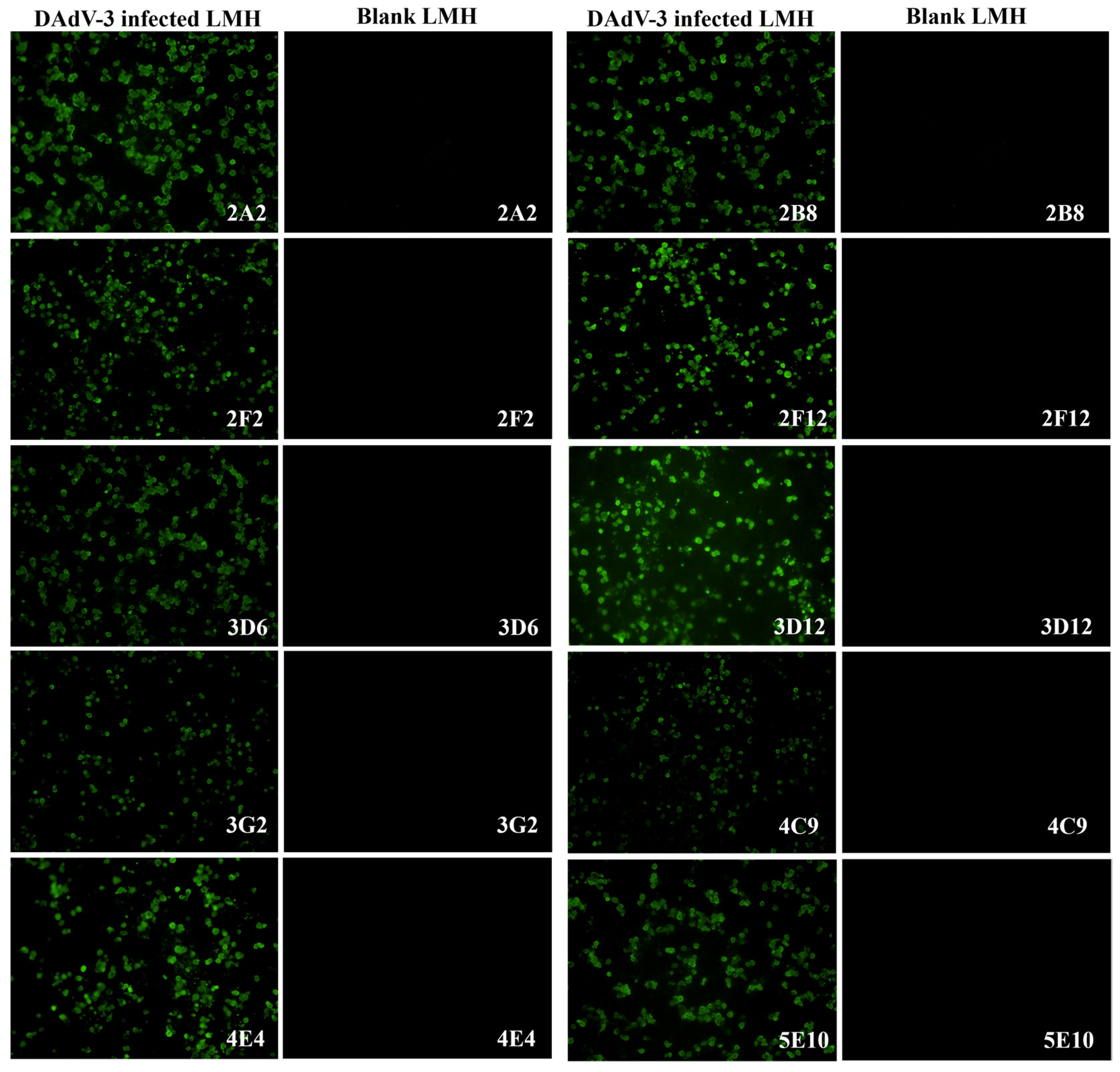 Microorganisms 13 02607 g002