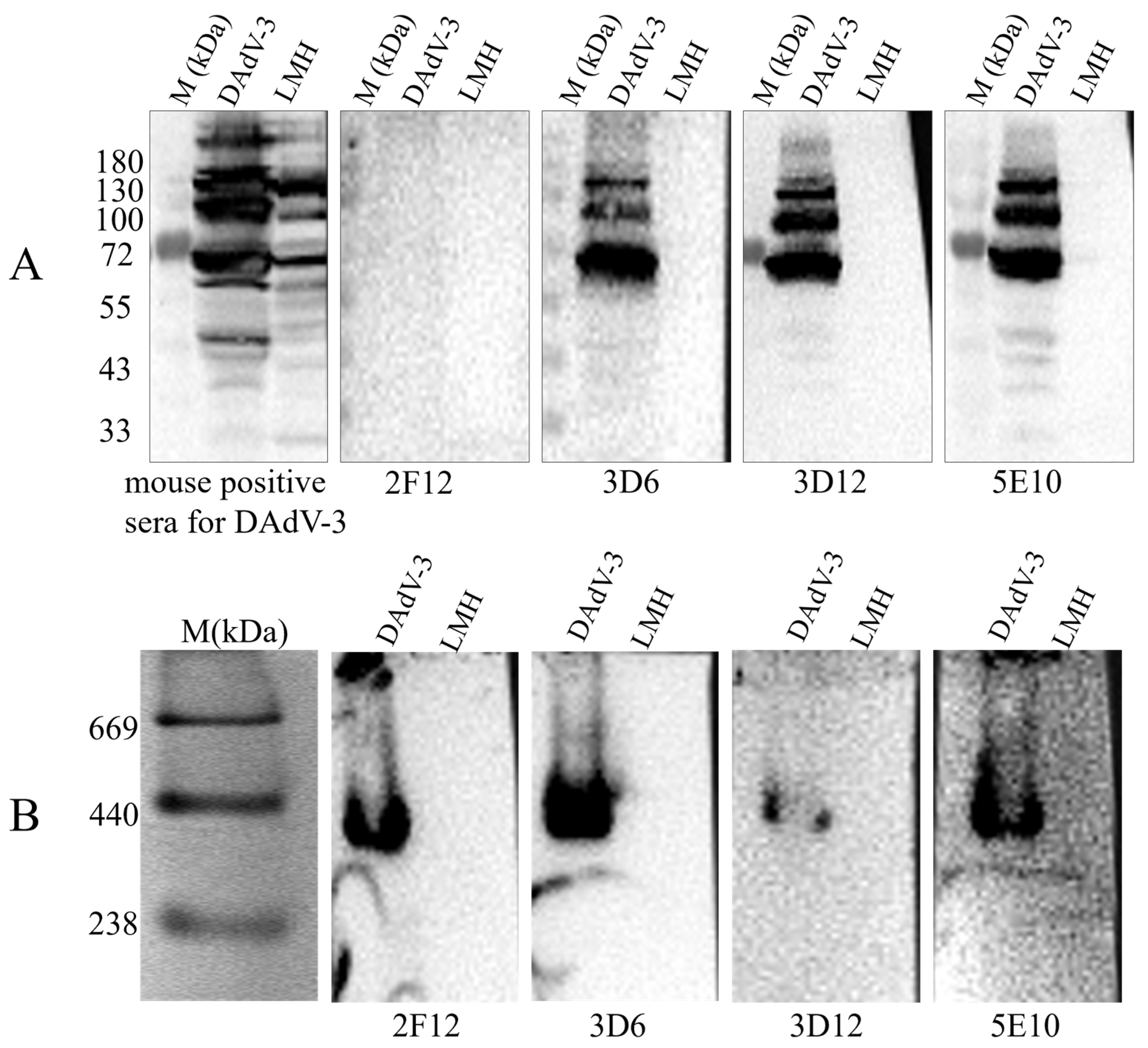 Microorganisms 13 02607 g003