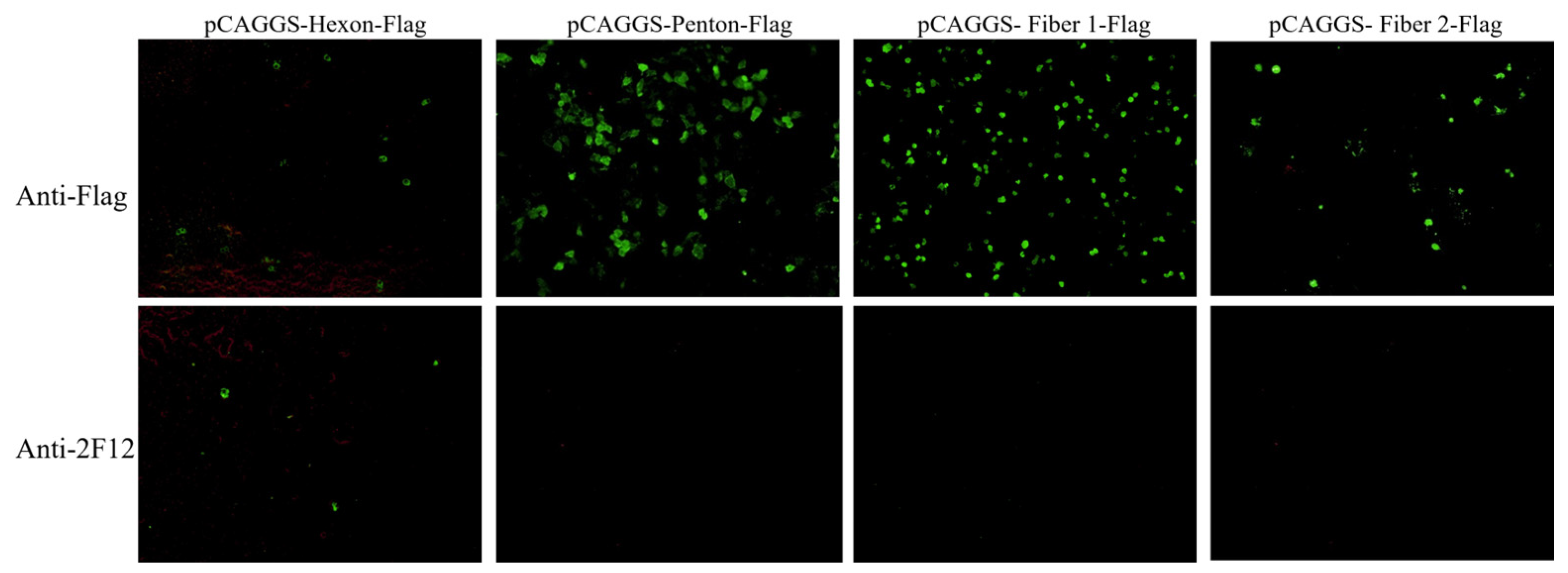 Microorganisms 13 02607 g004