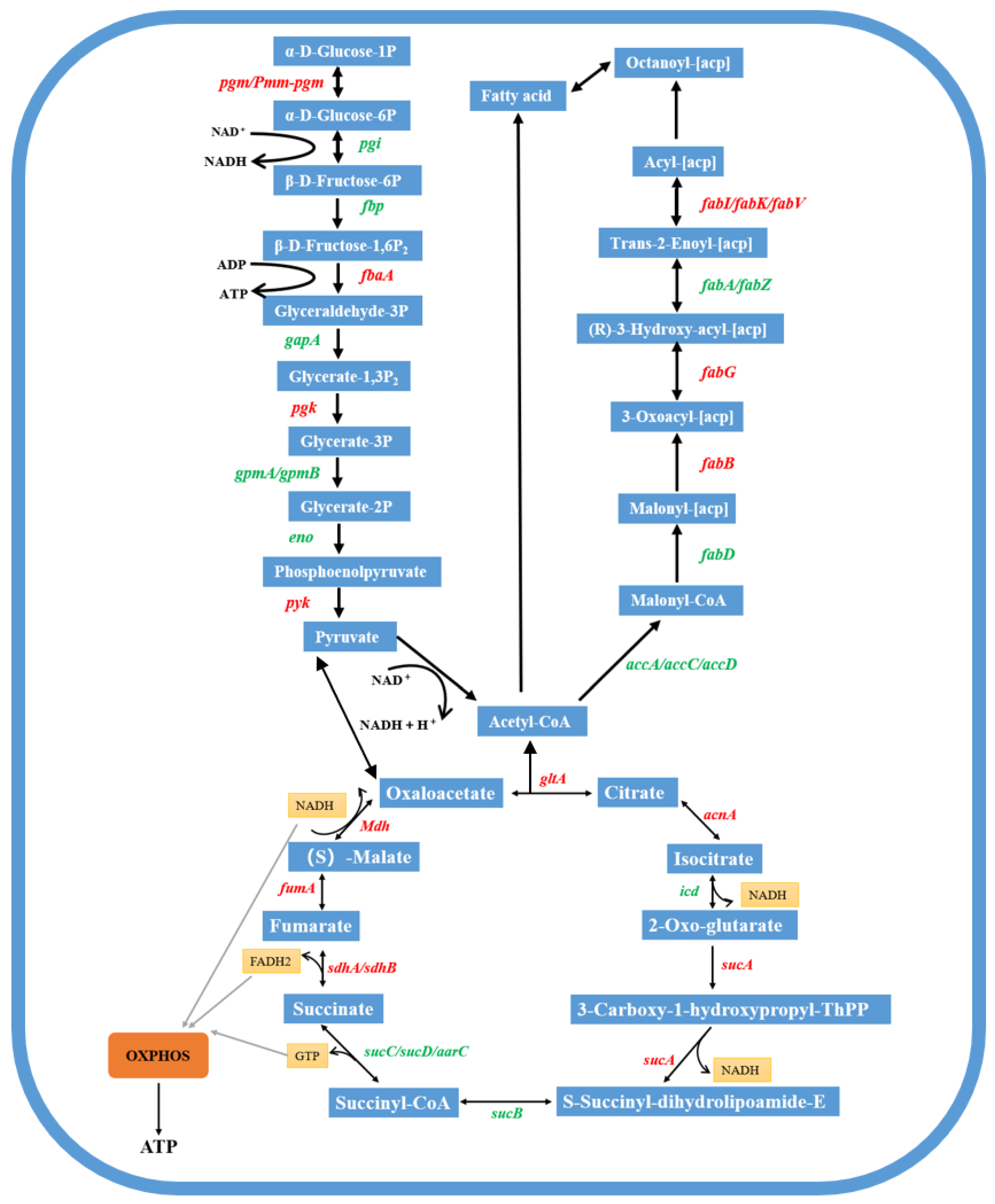 Microorganisms 13 02608 g012