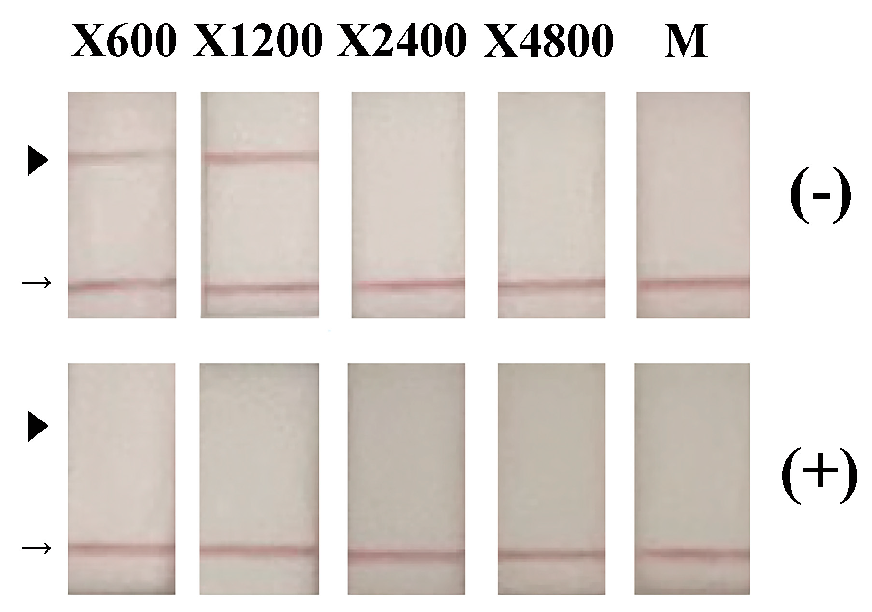 Microorganisms 13 02611 g003