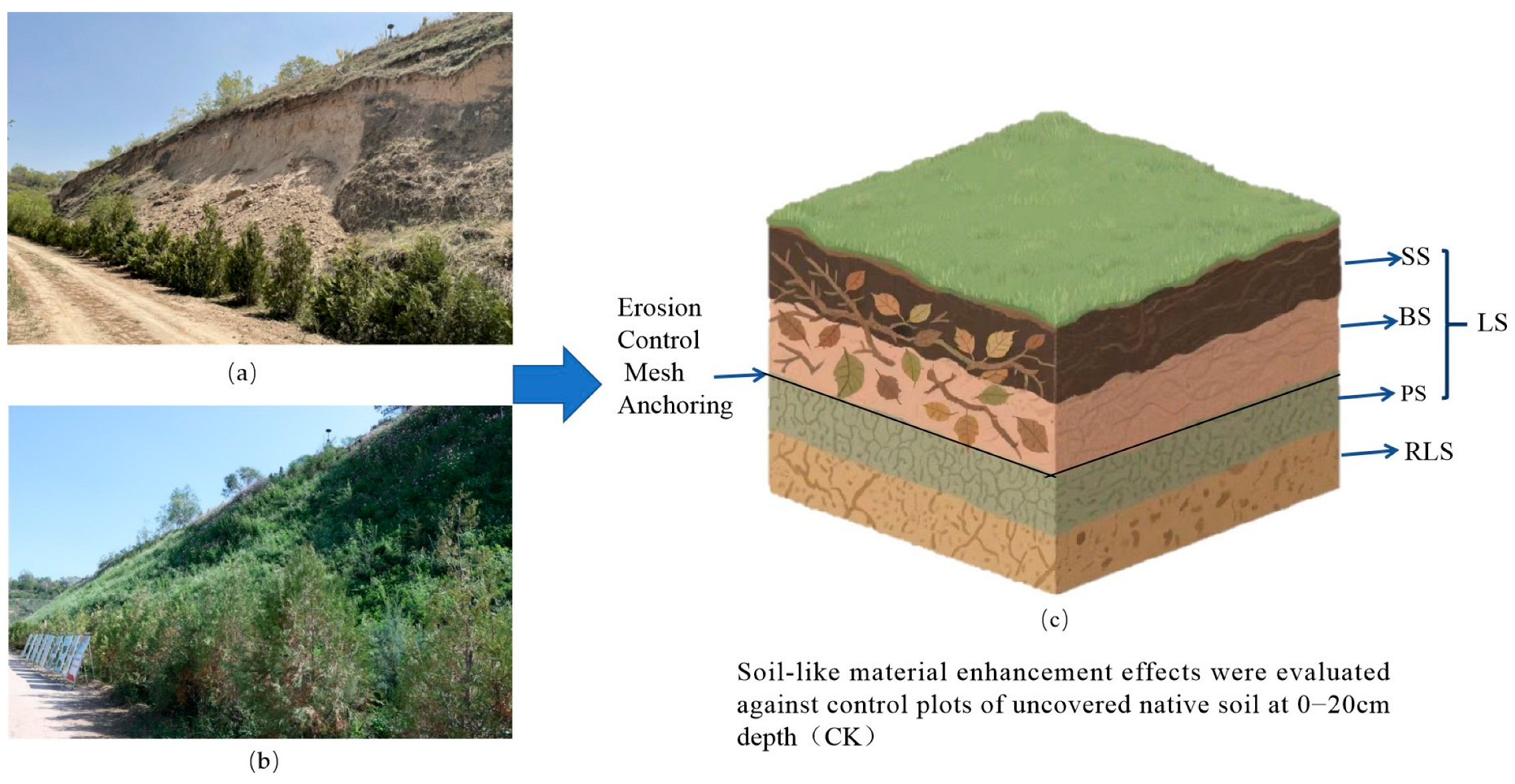 Microorganisms 13 02621 g001 Microorganisms 13 02621 g001