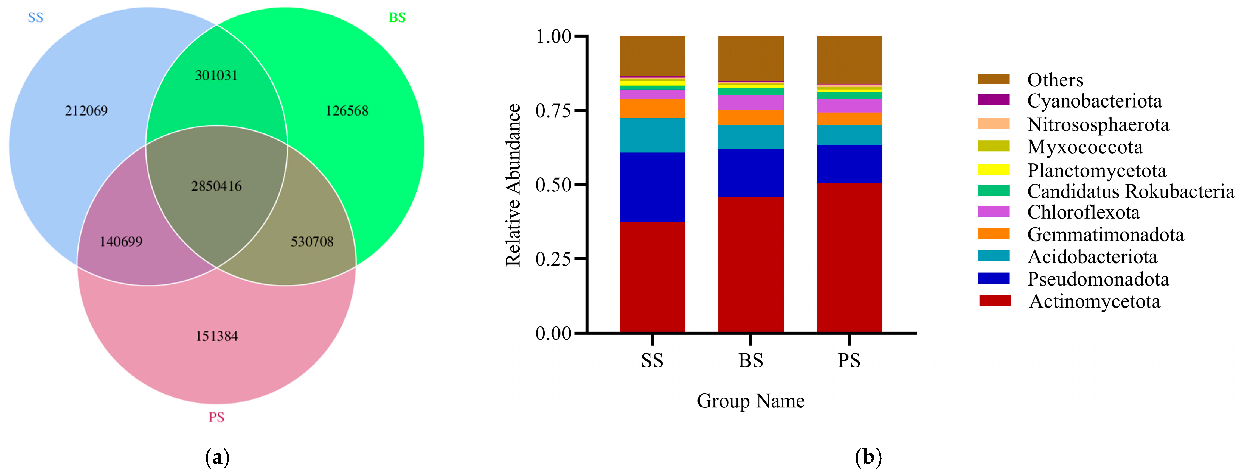 Microorganisms 13 02621 g009 Microorganisms 13 02621 g009