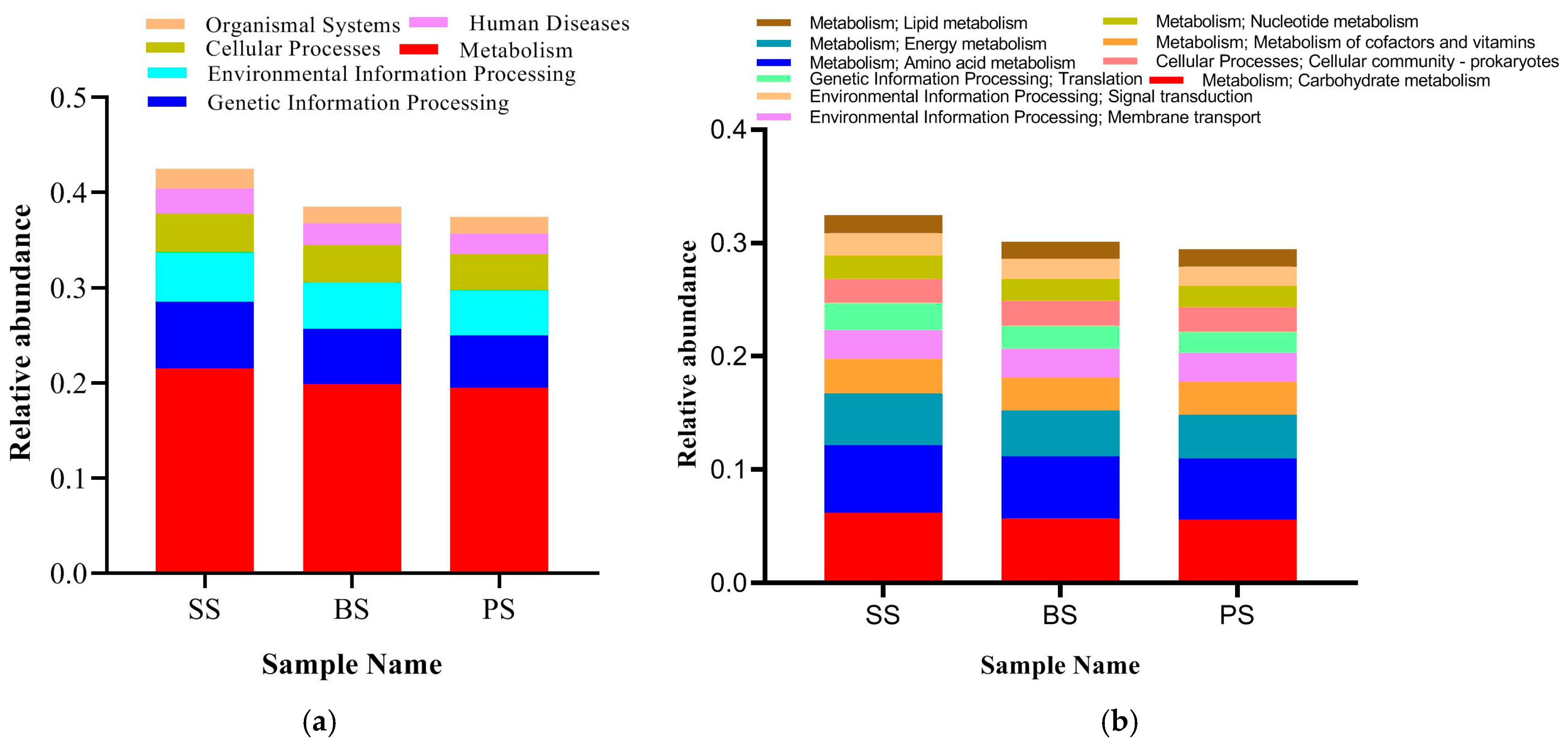 Microorganisms 13 02621 g011 Microorganisms 13 02621 g011