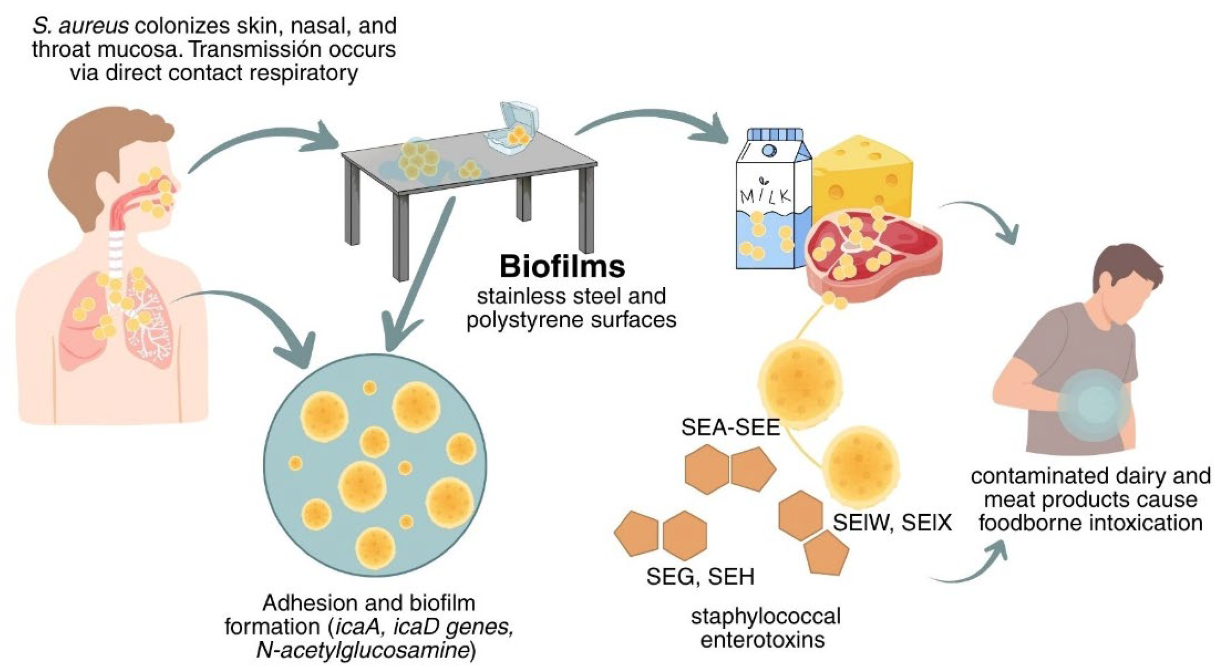 Microorganisms 13 02638 g001 Microorganisms 13 02638 g001