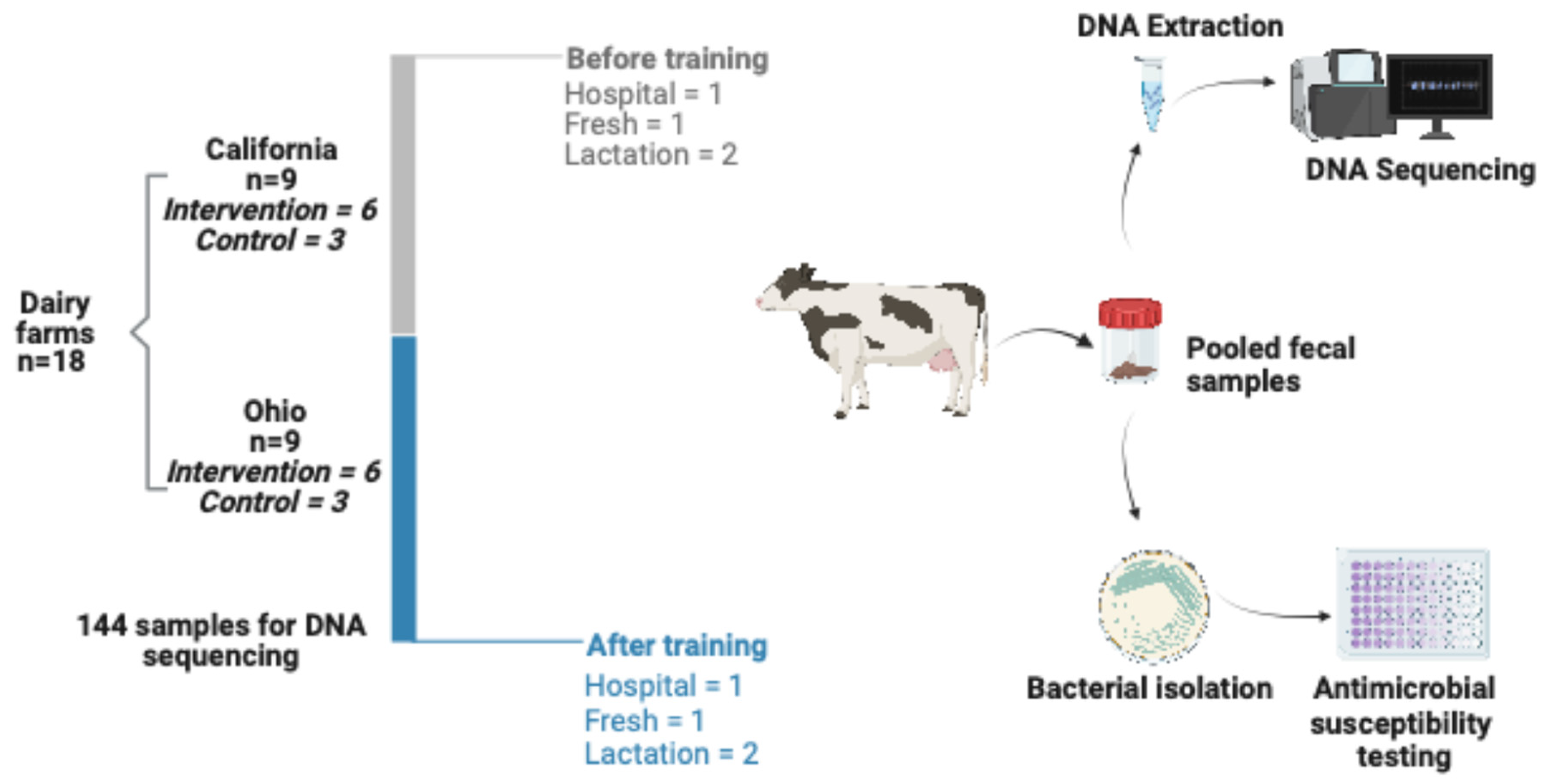 Microorganisms 13 02641 g001