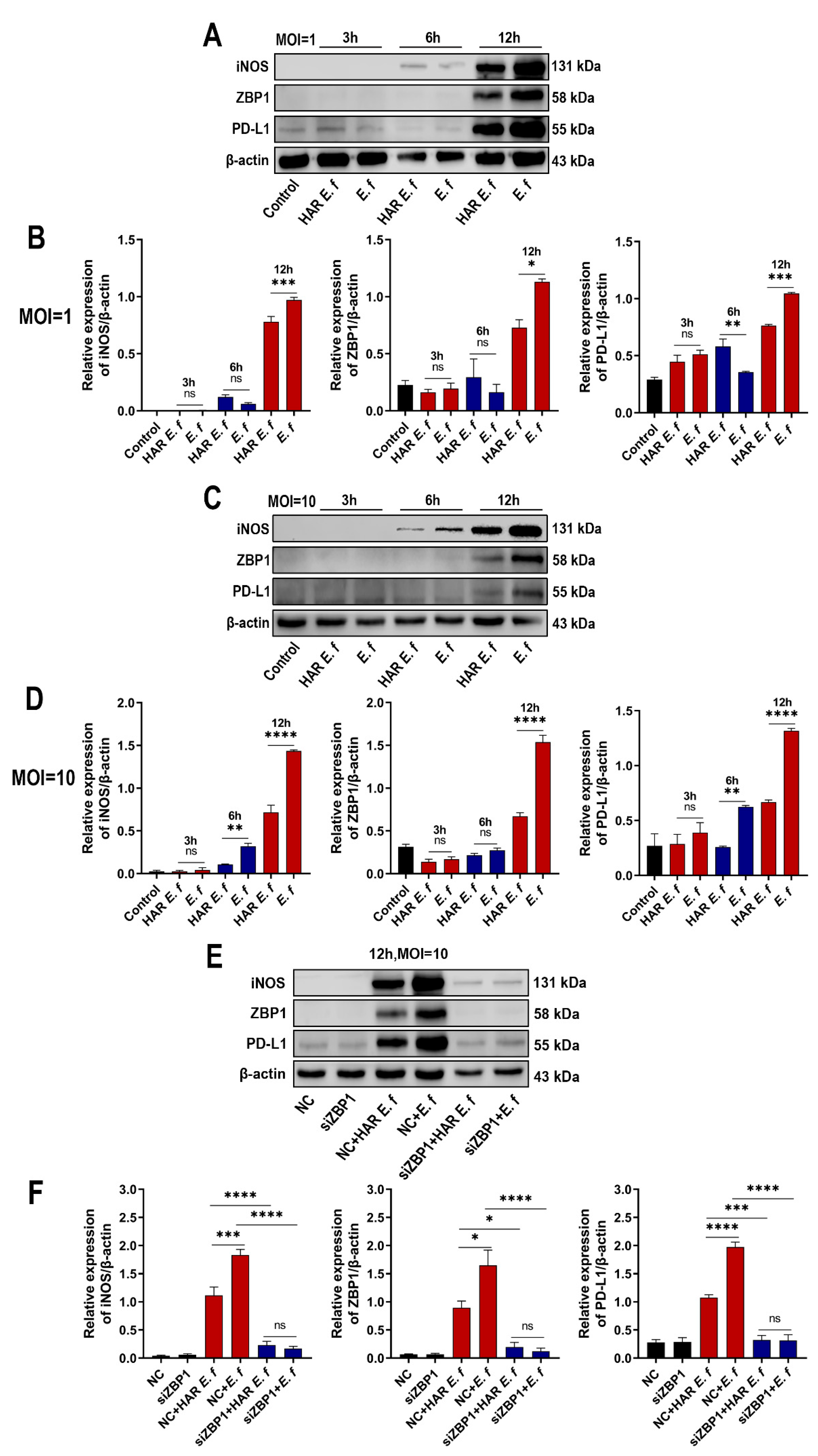 Microorganisms 13 02647 g002