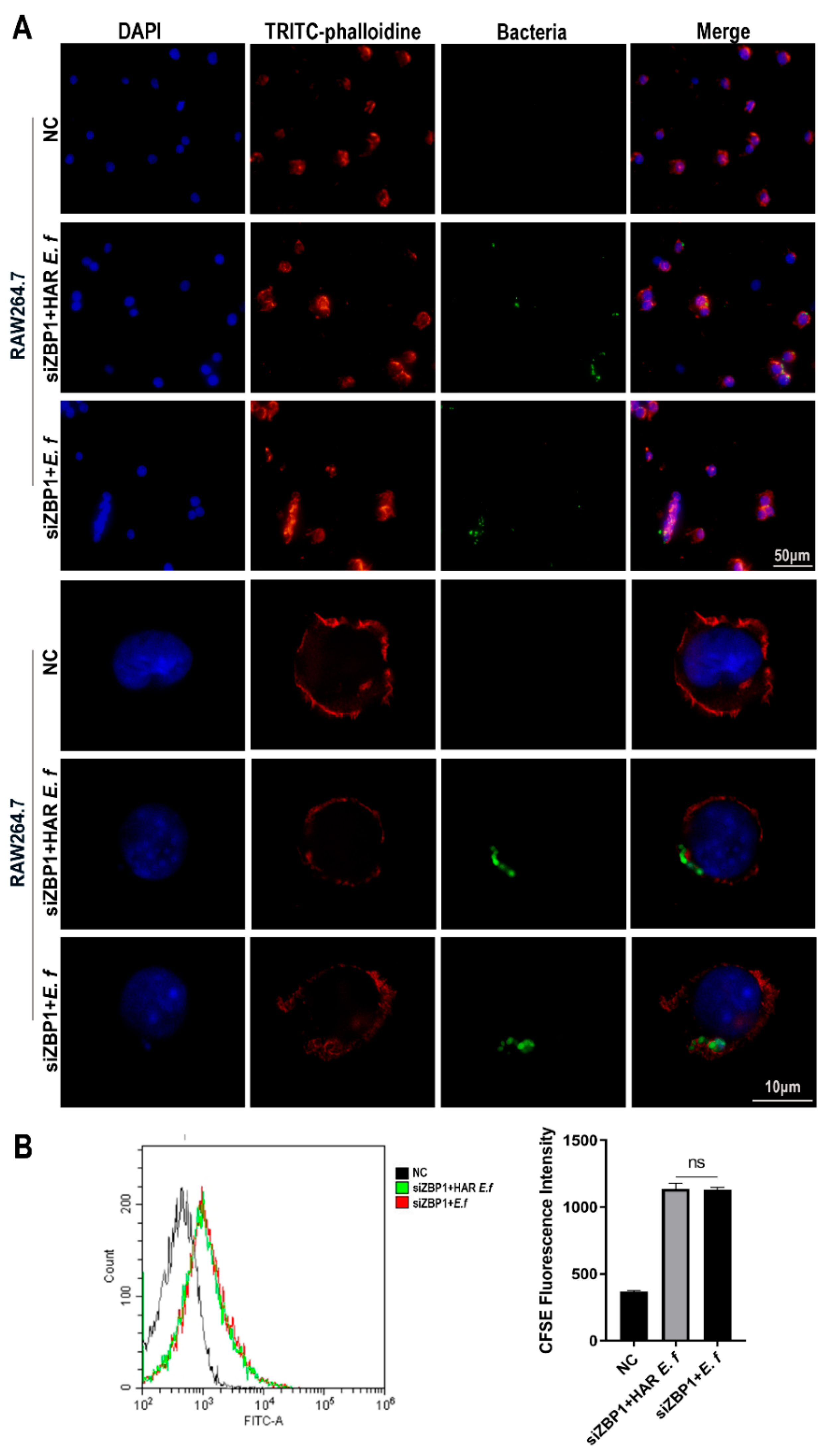 Microorganisms 13 02647 g005