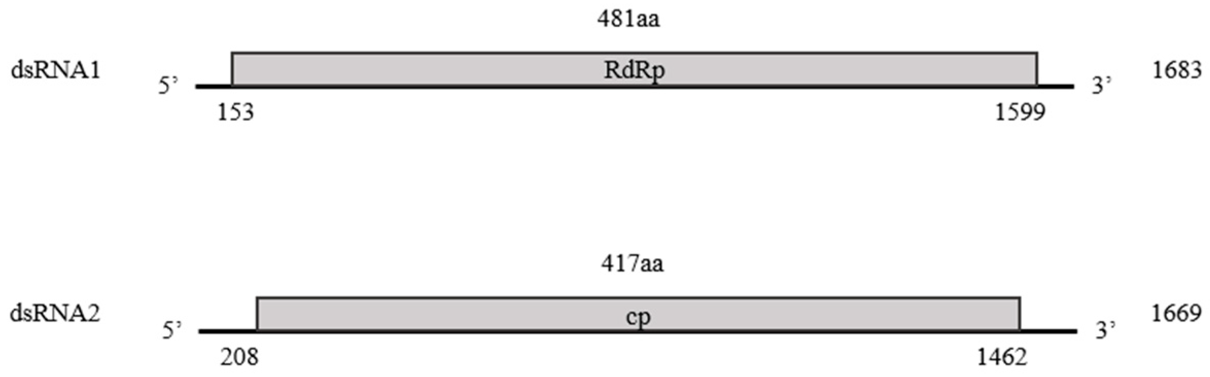 Microorganisms 13 02682 g002