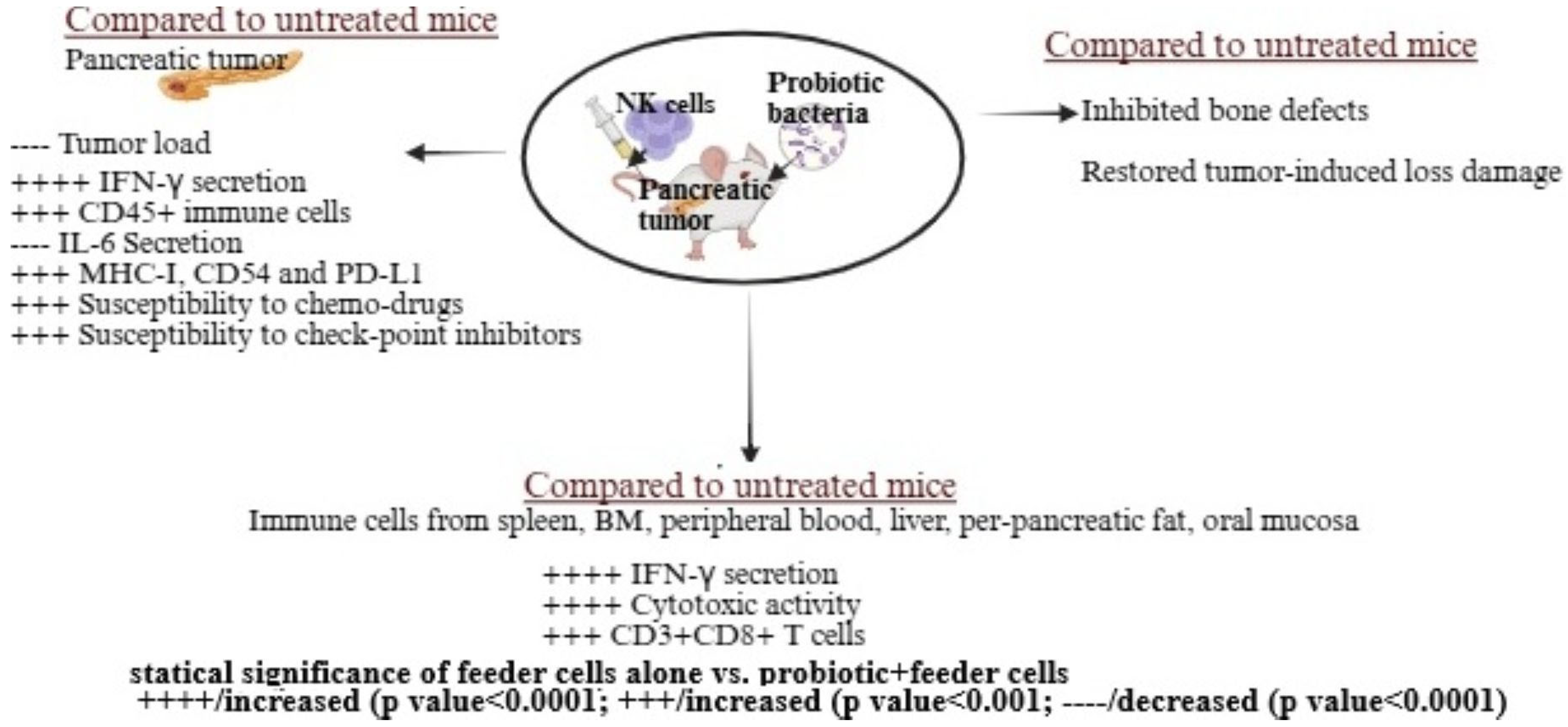 Microorganisms 13 02687 g003 Microorganisms 13 02687 g003