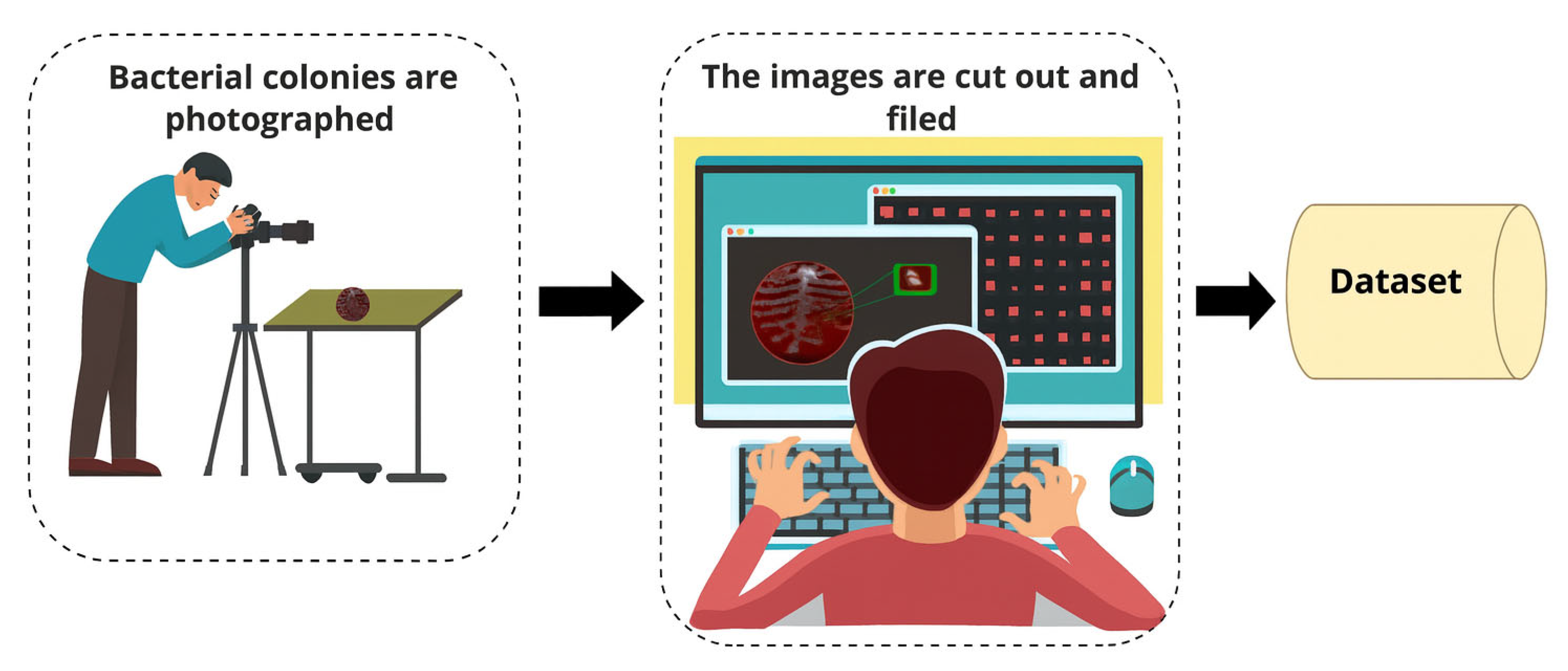 Microorganisms 13 02689 g001
