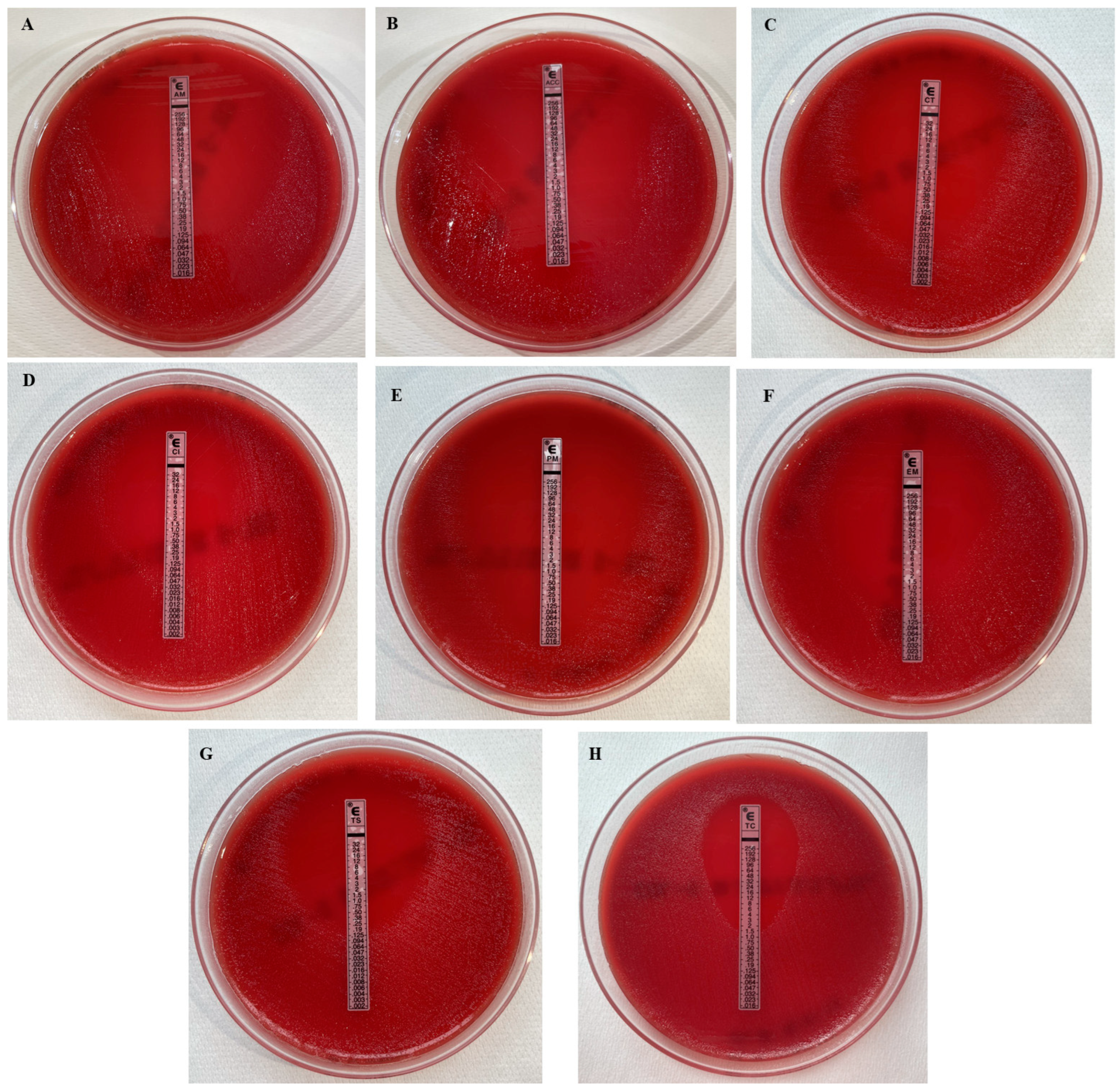 Microorganisms 13 02699 g002 Microorganisms 13 02699 g002