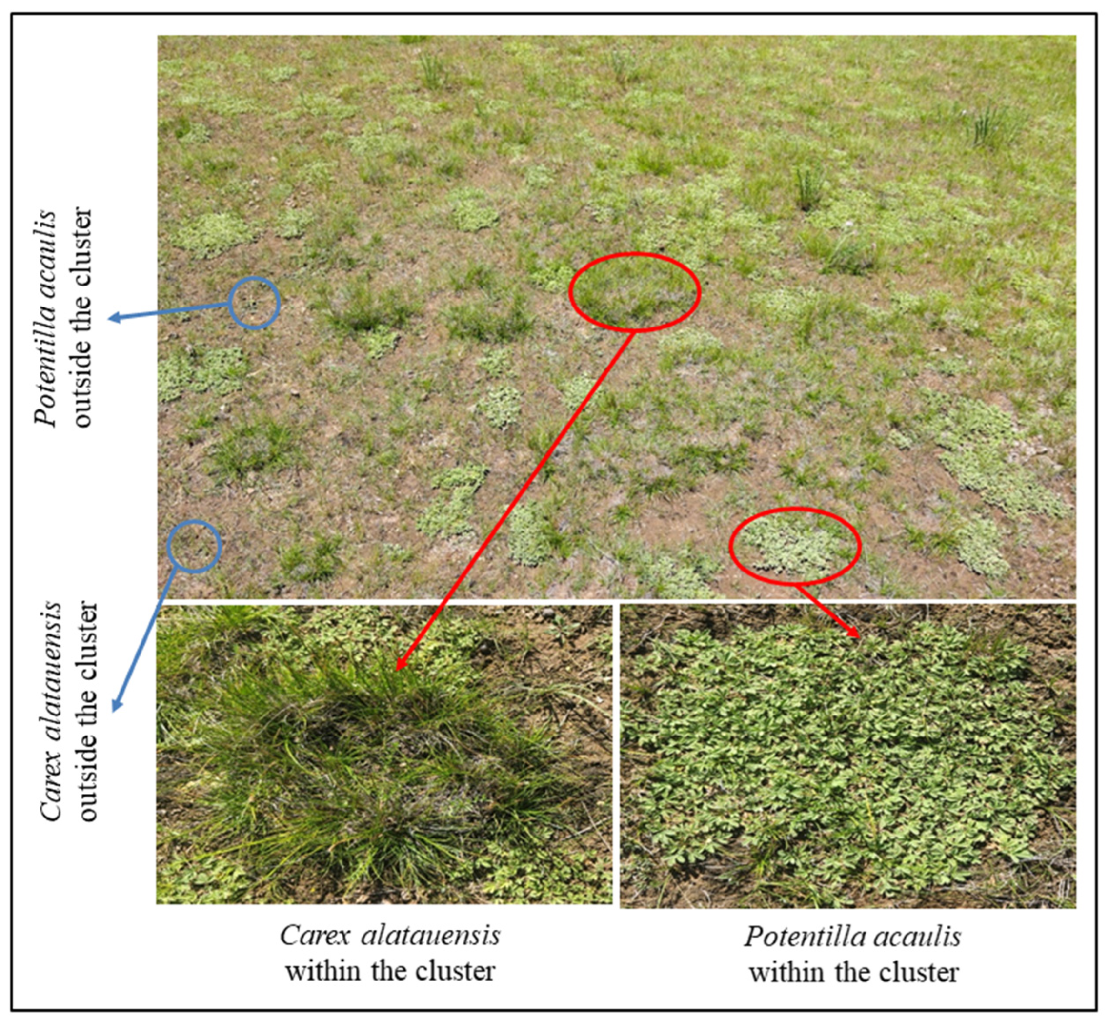 Microorganisms 13 02736 g001