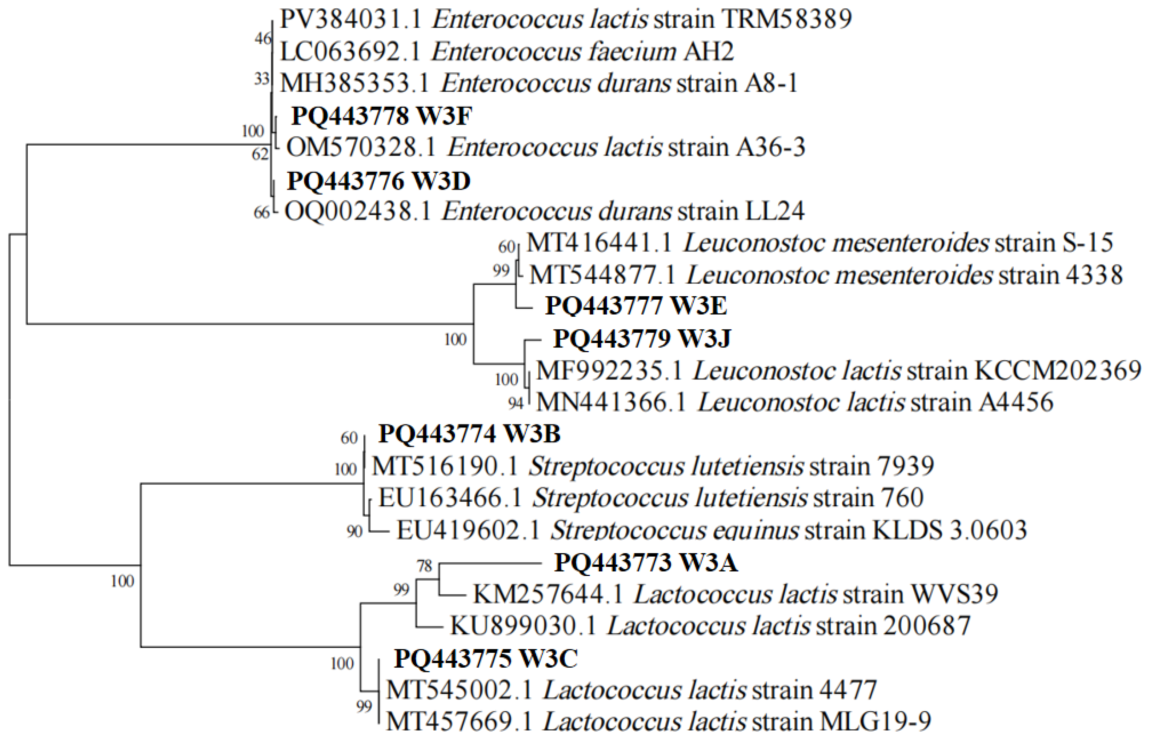 Microorganisms 13 02743 g001