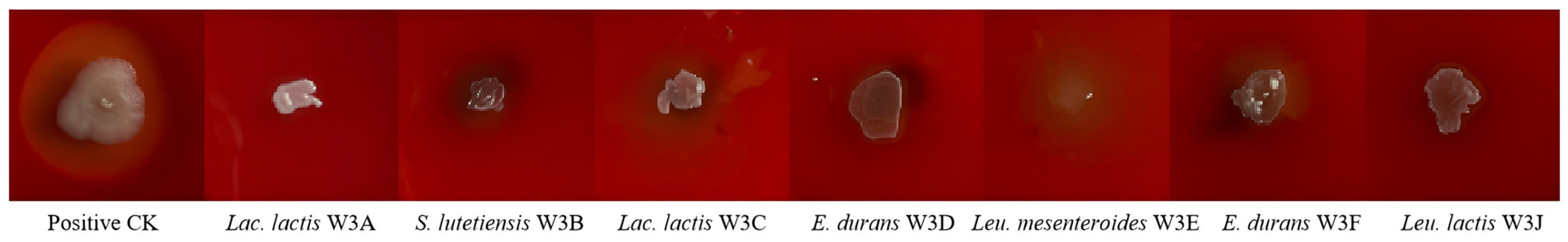 Microorganisms 13 02743 g002