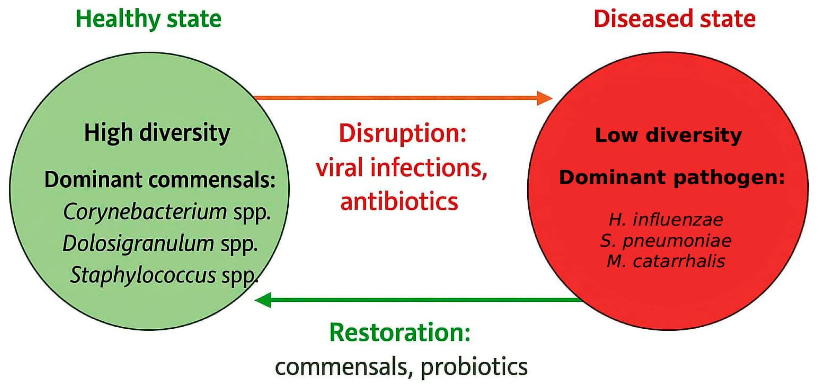 Microorganisms 13 02760 g002 Microorganisms 13 02760 g002