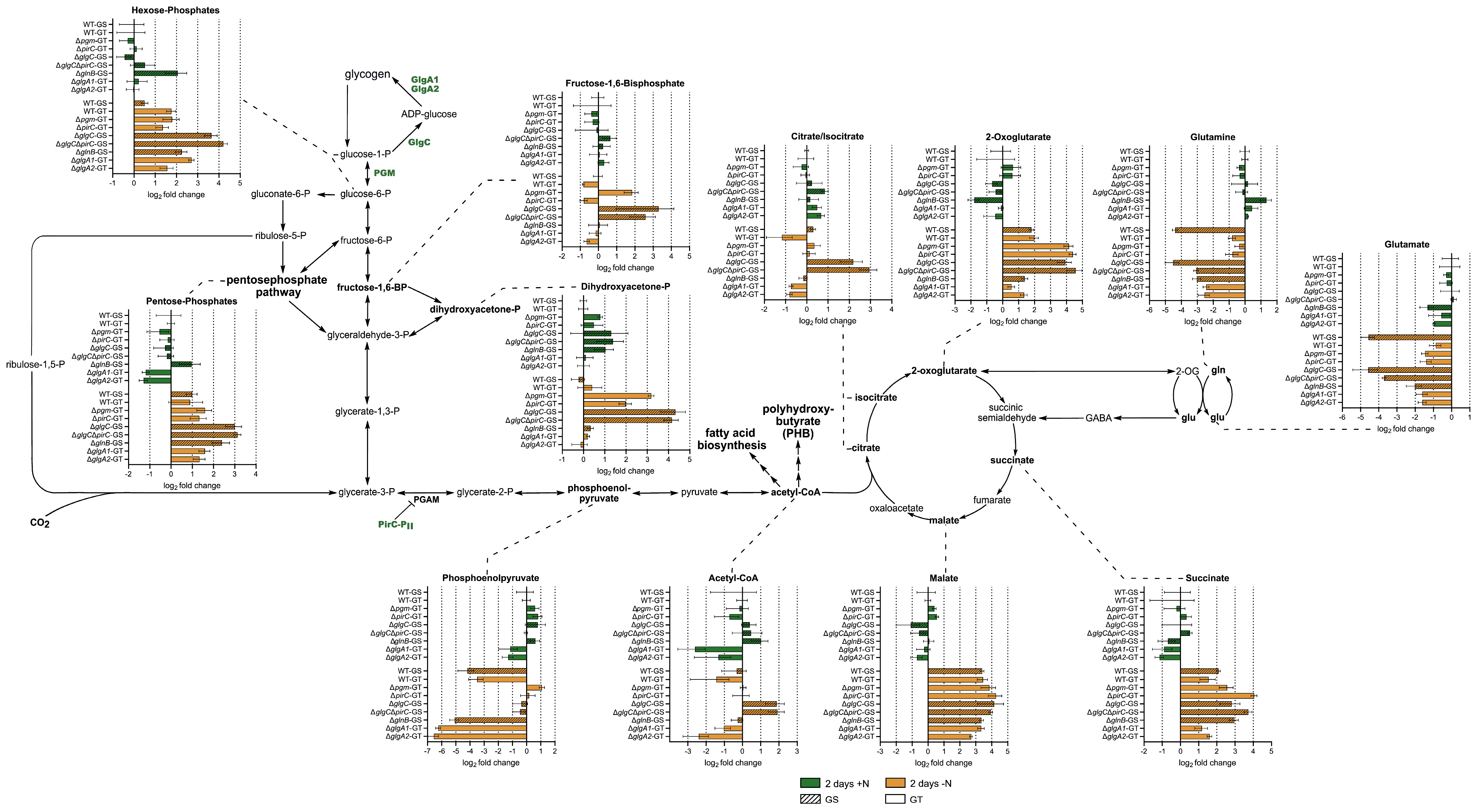 Microorganisms 13 02767 g002