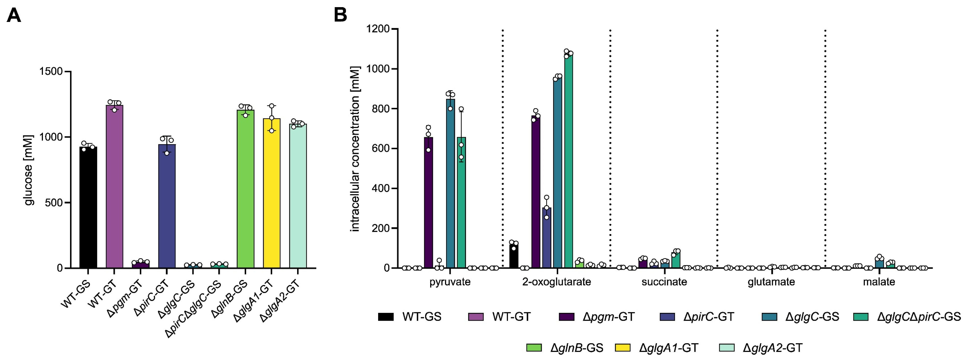 Microorganisms 13 02767 g004