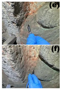 Microorganisms 13 02788 i003