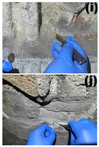 Microorganisms 13 02788 i005