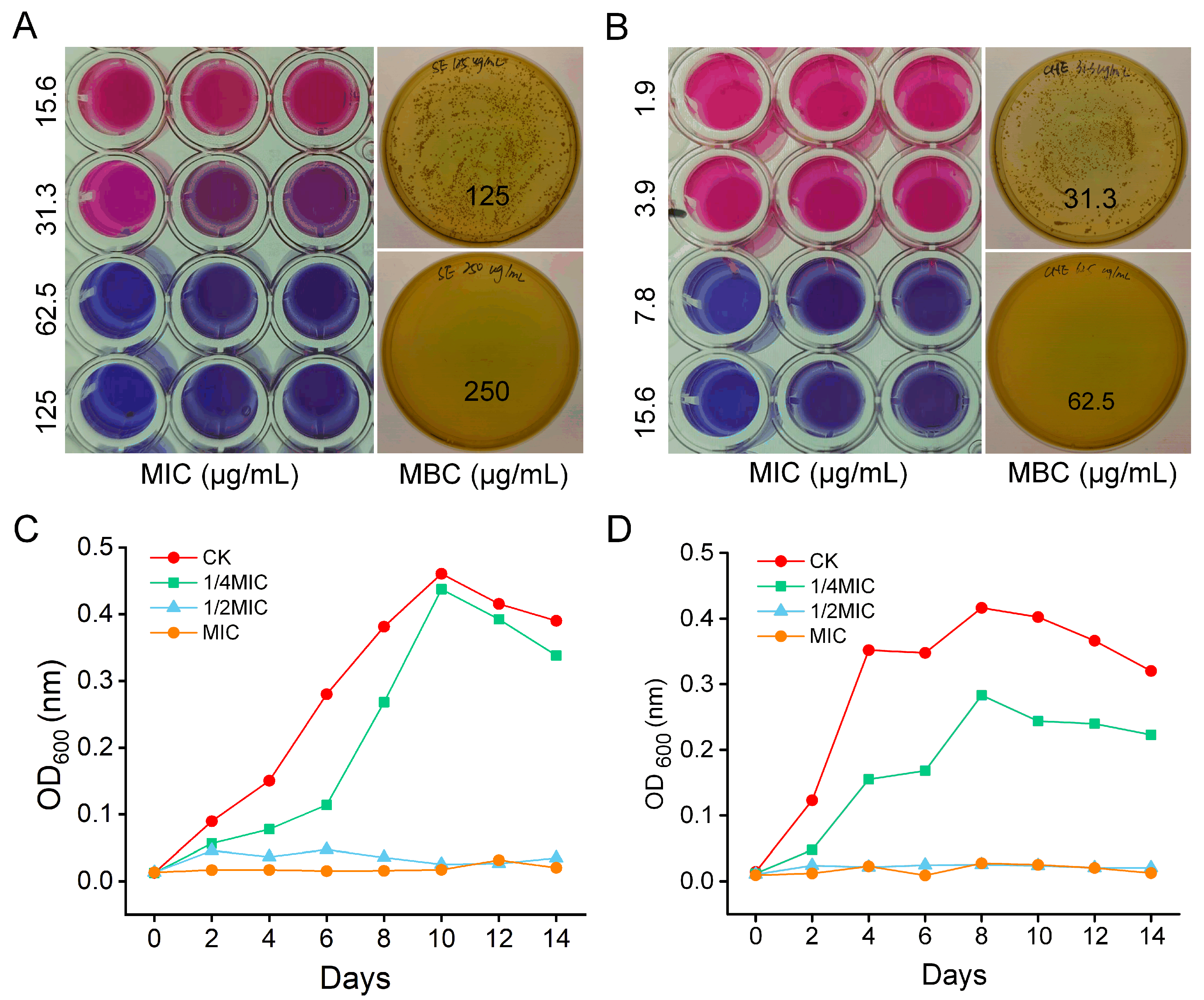 Microorganisms 13 02790 g001