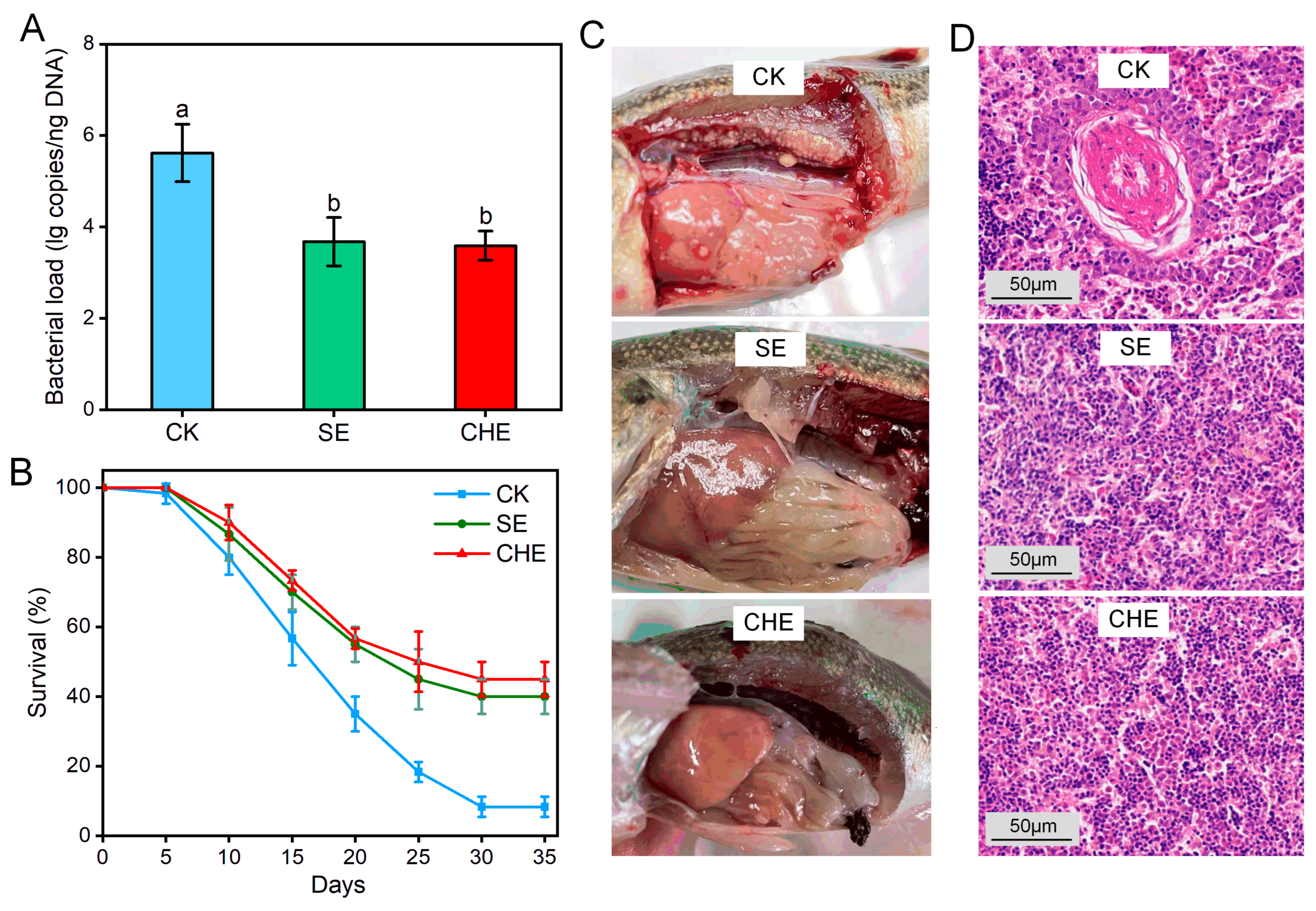 Microorganisms 13 02790 g002