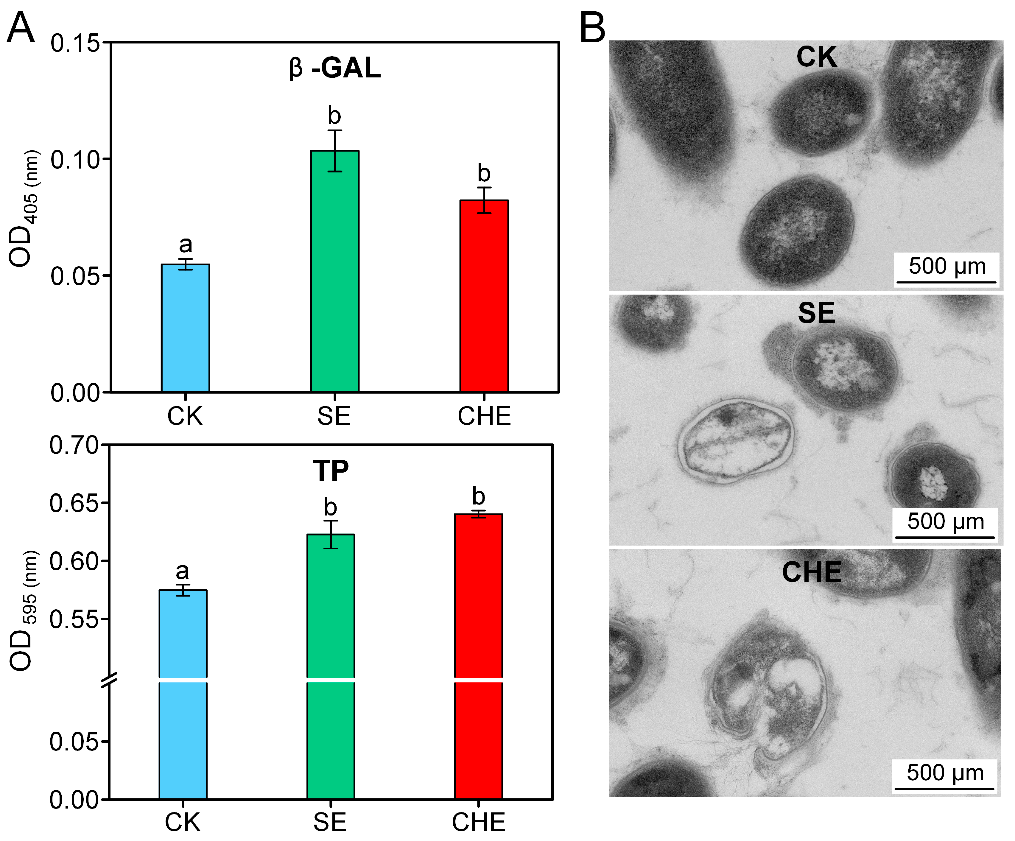 Microorganisms 13 02790 g003