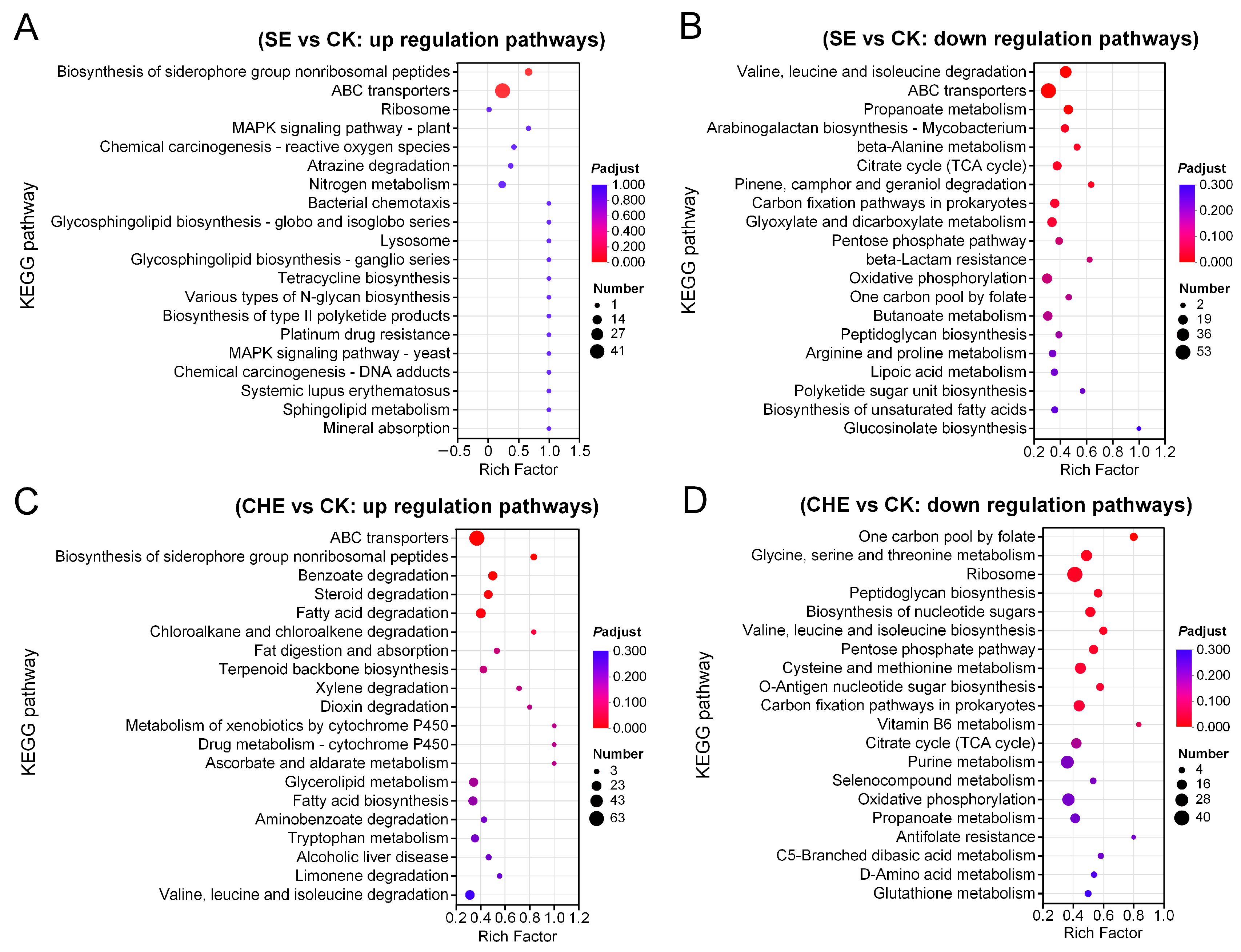 Microorganisms 13 02790 g005