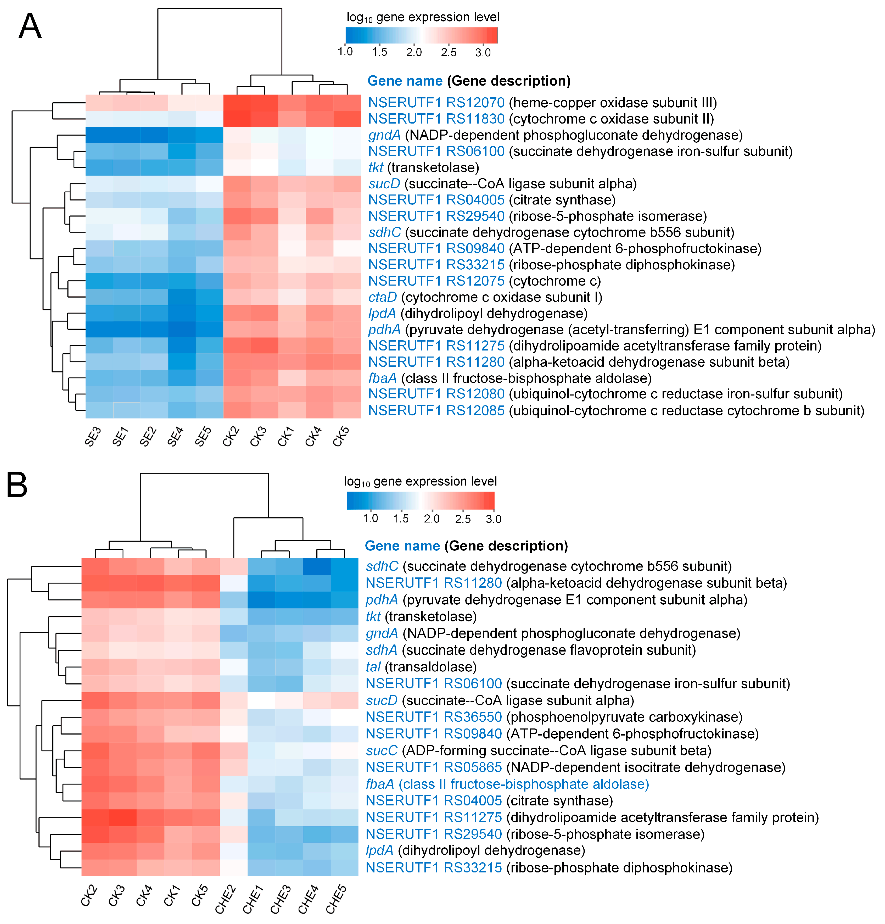 Microorganisms 13 02790 g006