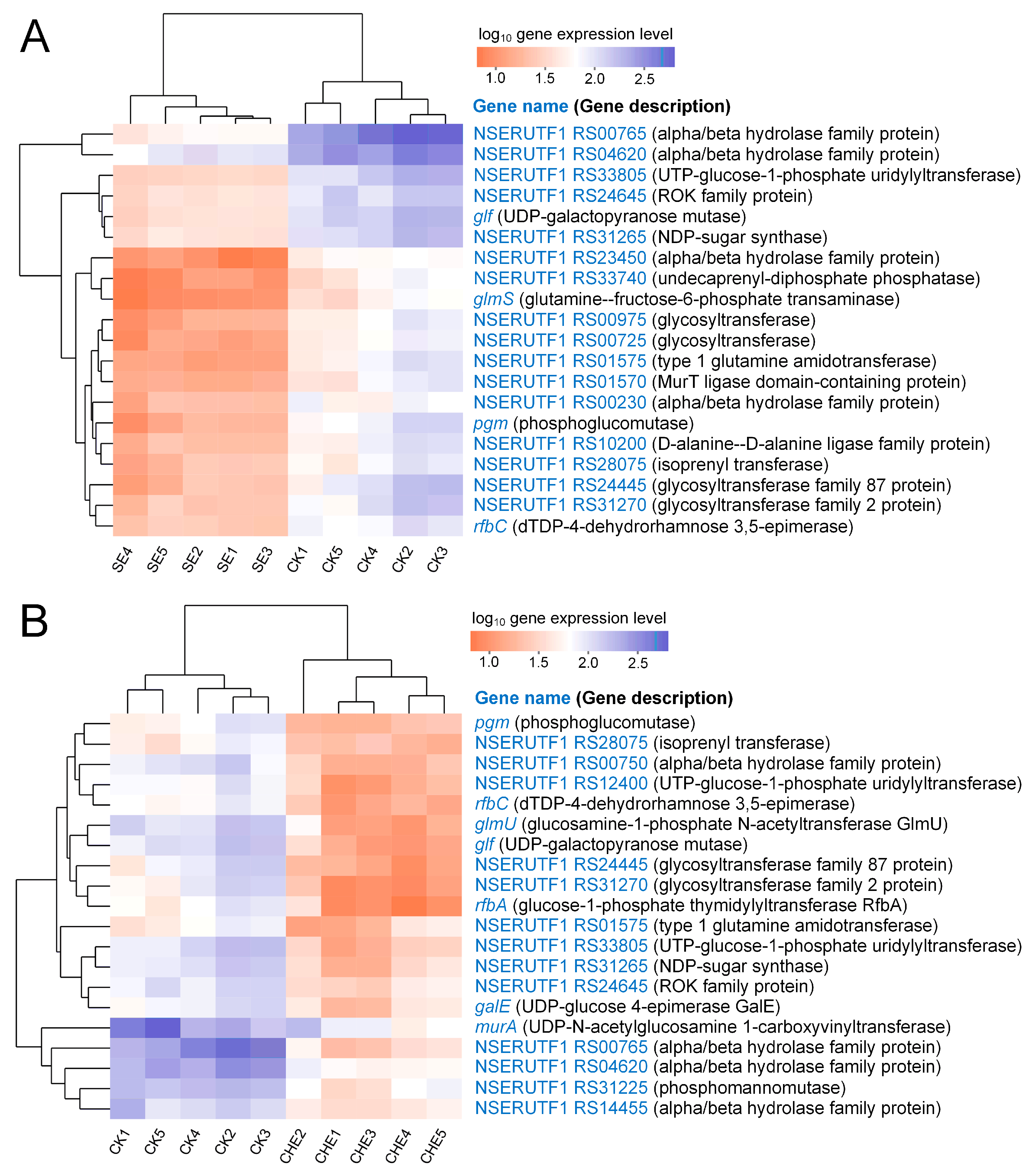 Microorganisms 13 02790 g007