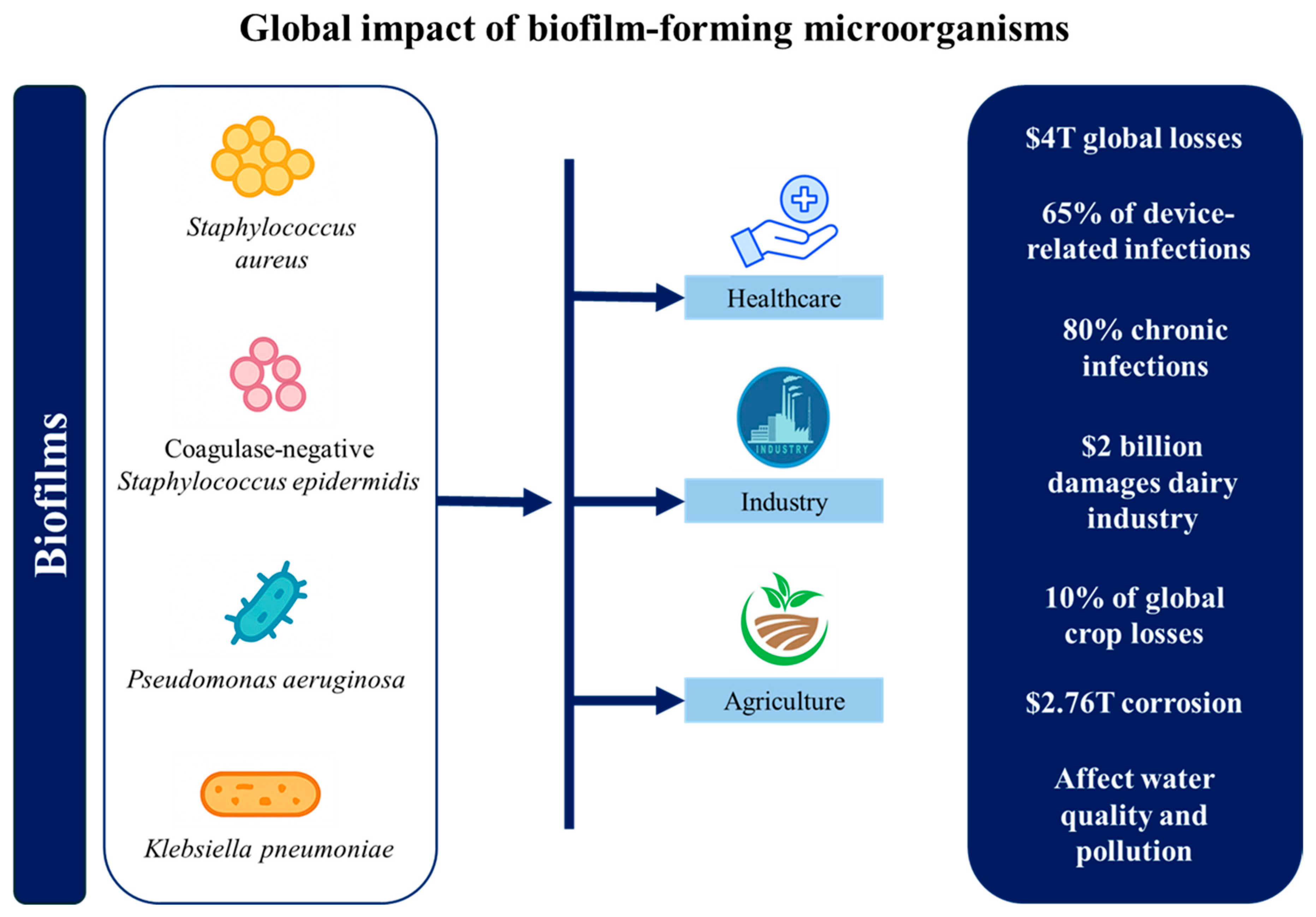 Microorganisms 13 02796 g001