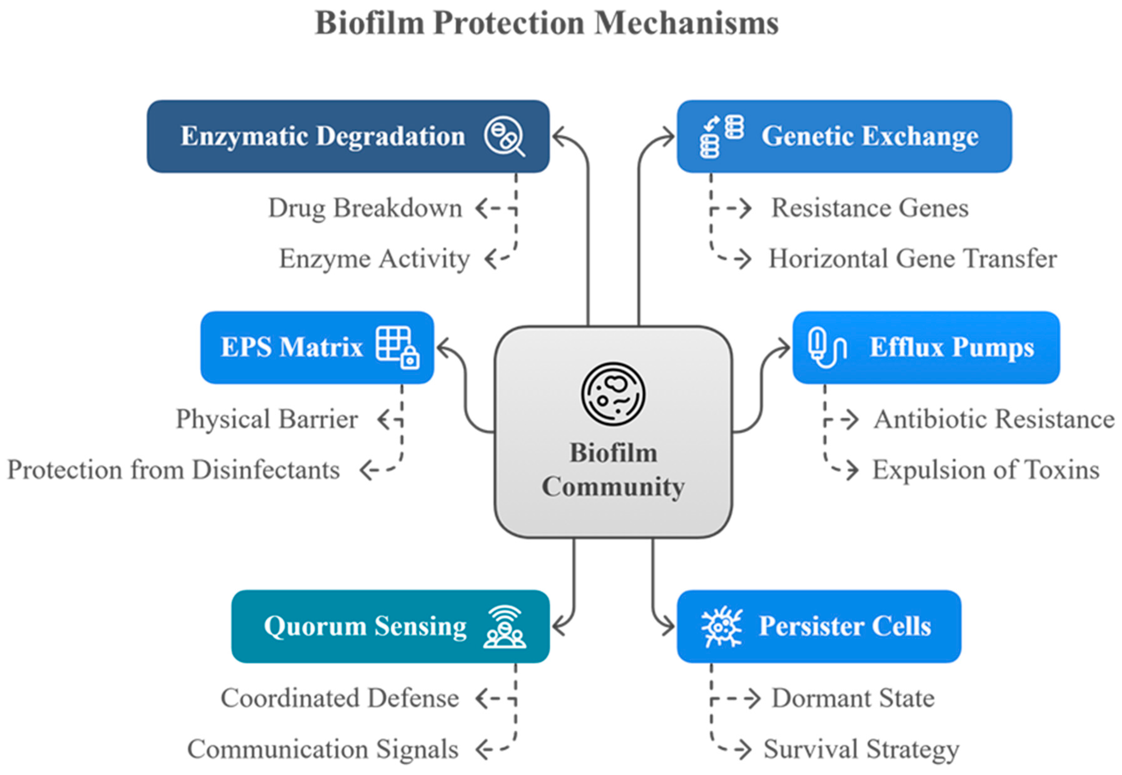 Microorganisms 13 02796 g003
