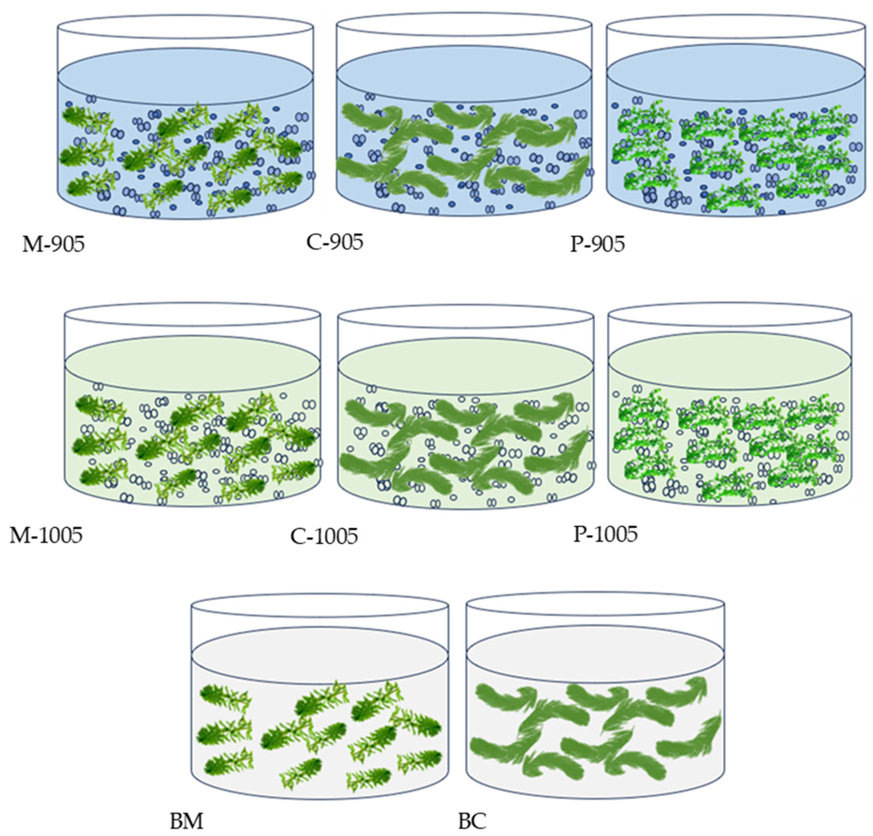 Microorganisms 13 02797 g001 Microorganisms 13 02797 g001