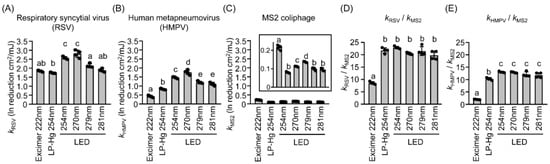 Microorganisms 13 02798 g003