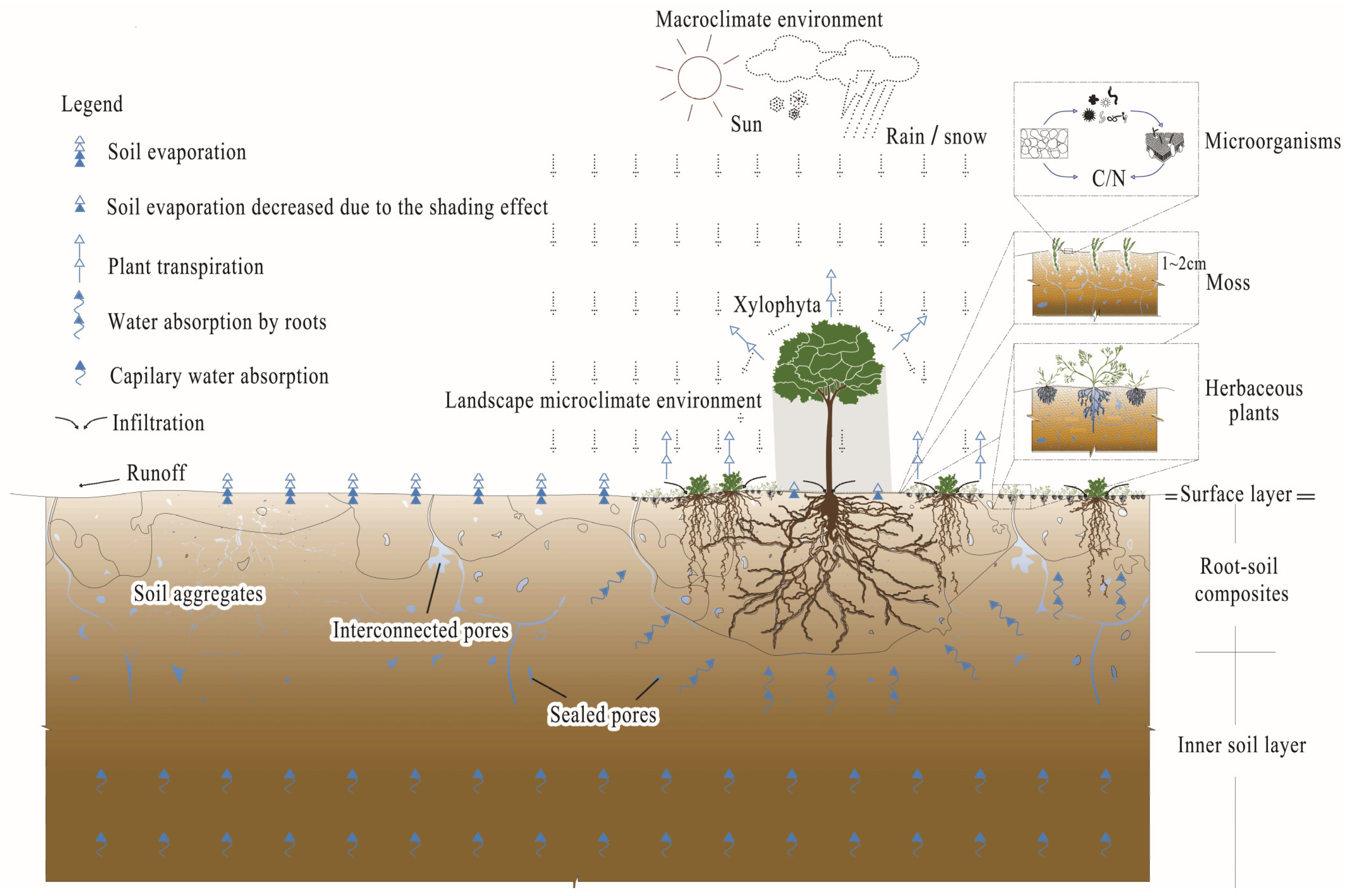 Microorganisms 13 02802 g001