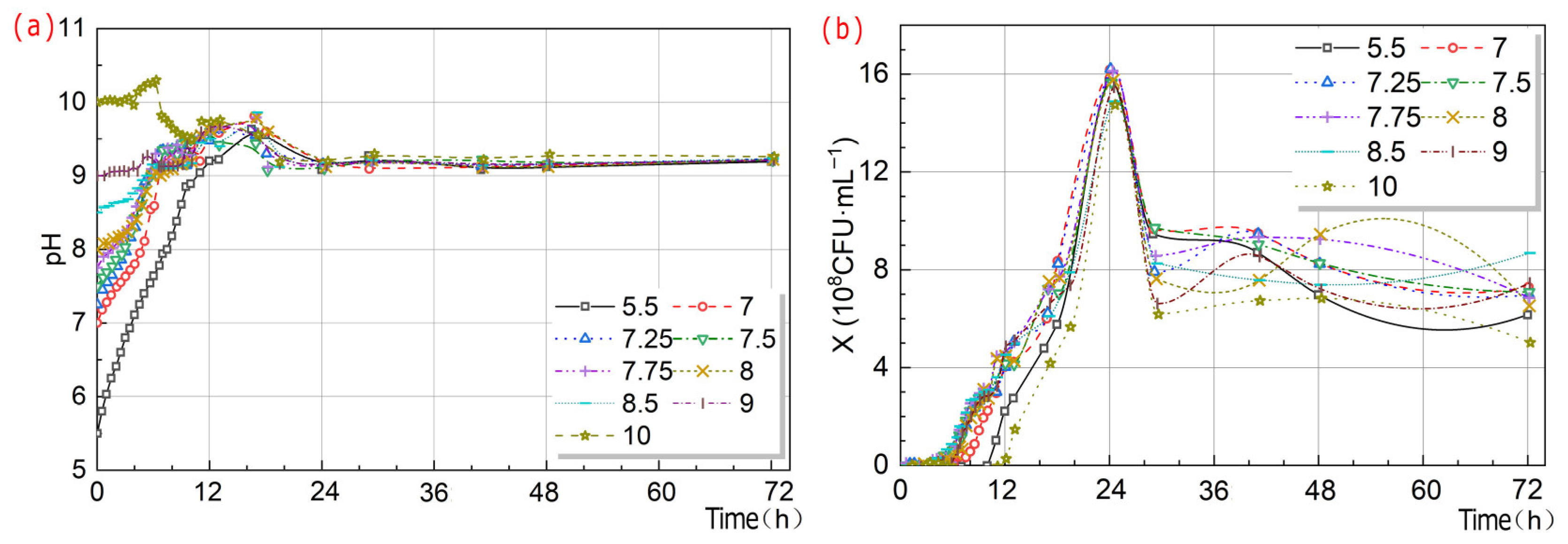 Microorganisms 13 02802 g008