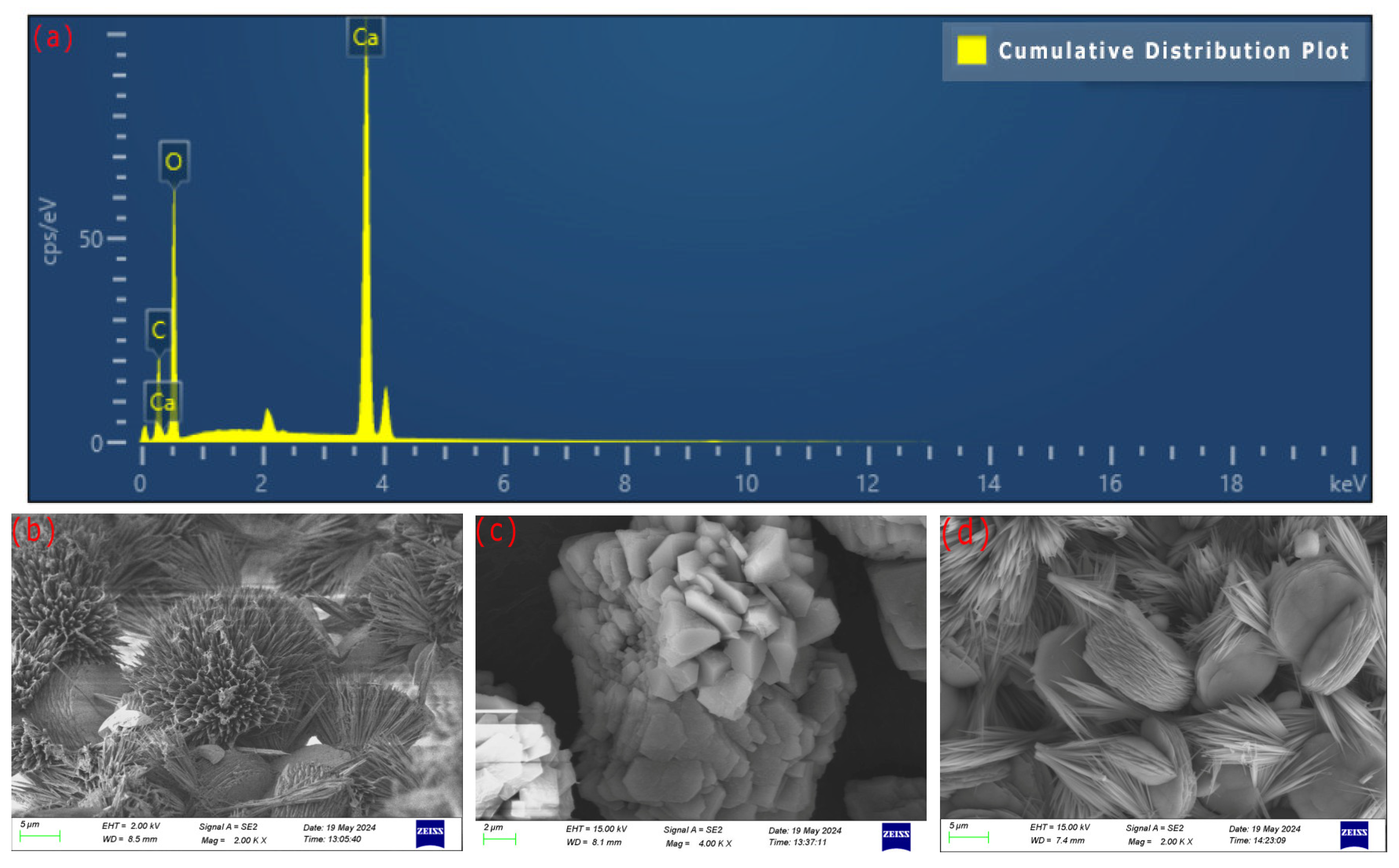 Microorganisms 13 02802 g010a