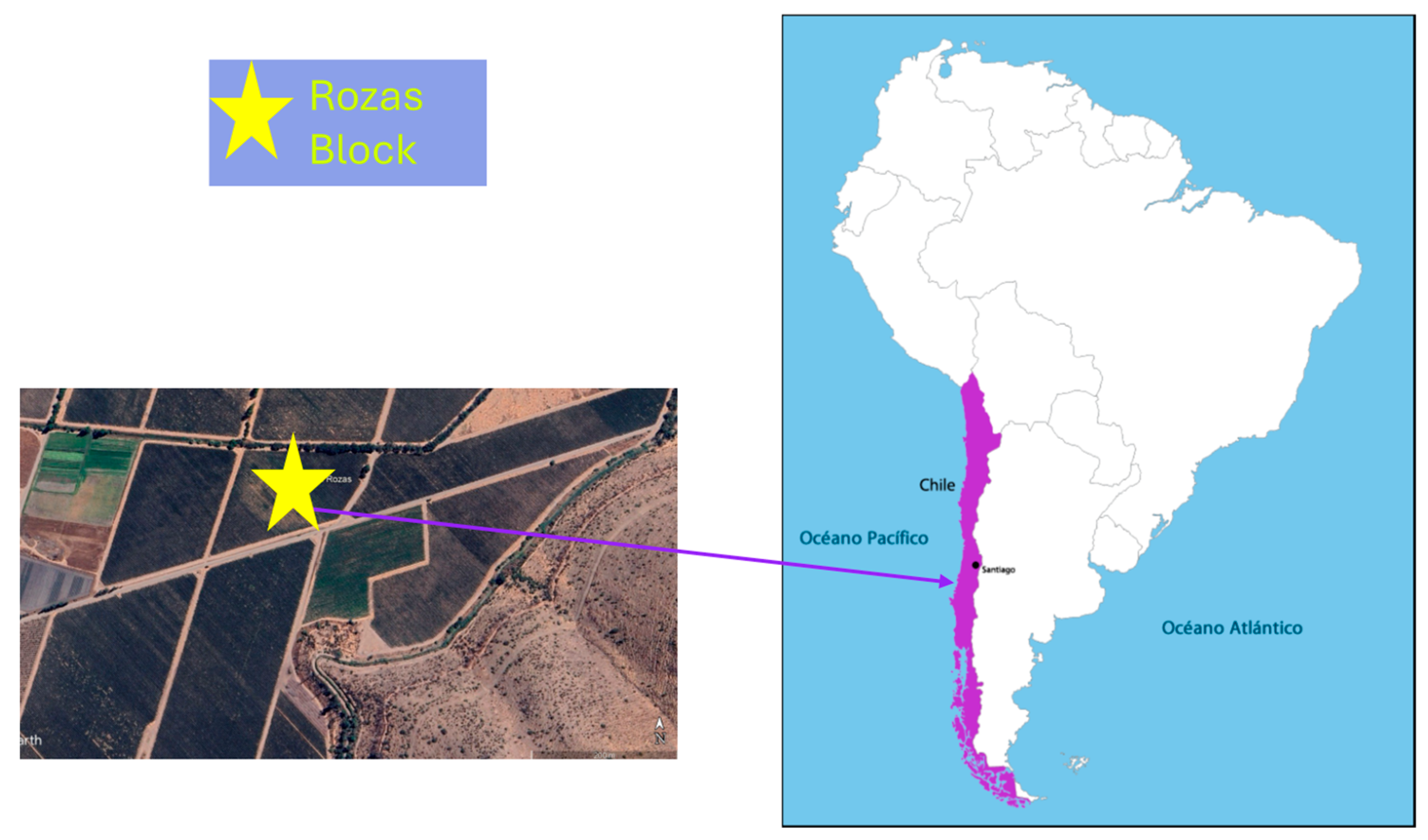 Microorganisms 13 02804 g001 Microorganisms 13 02804 g001