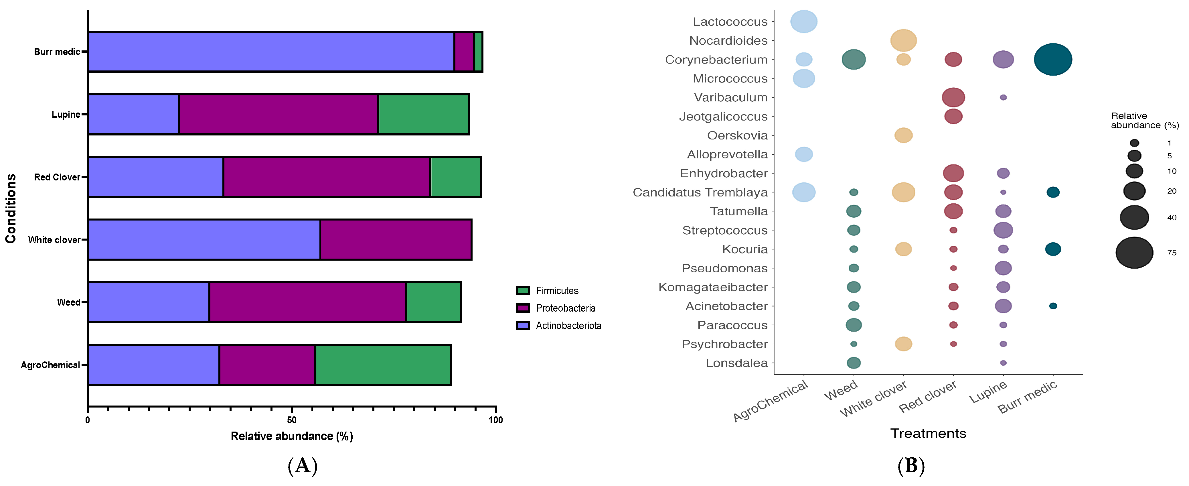 Microorganisms 13 02804 g003 Microorganisms 13 02804 g003