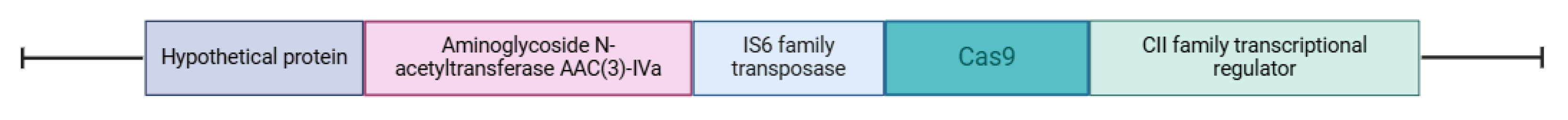 Microorganisms 13 02806 g002