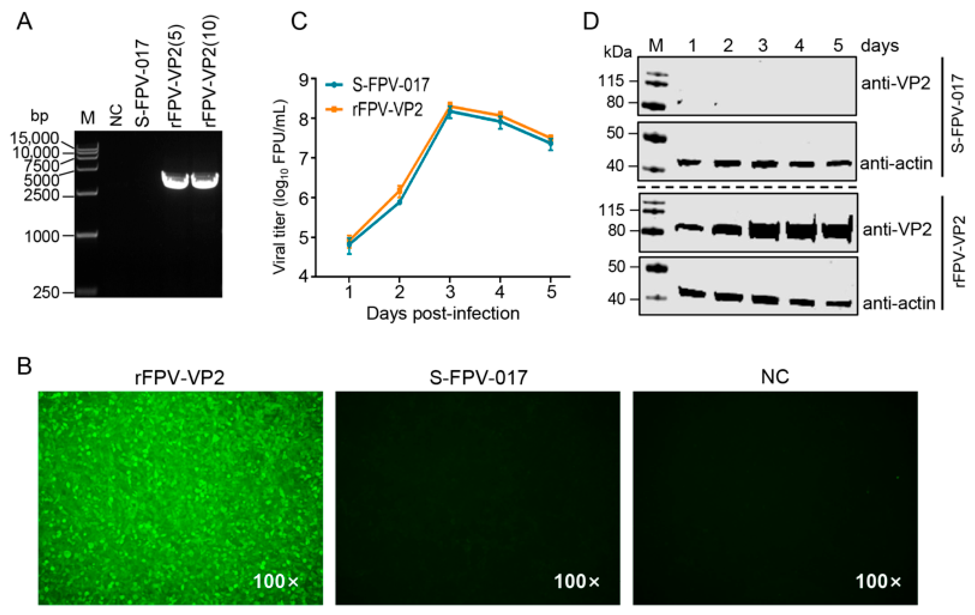 Microorganisms 13 02807 g002