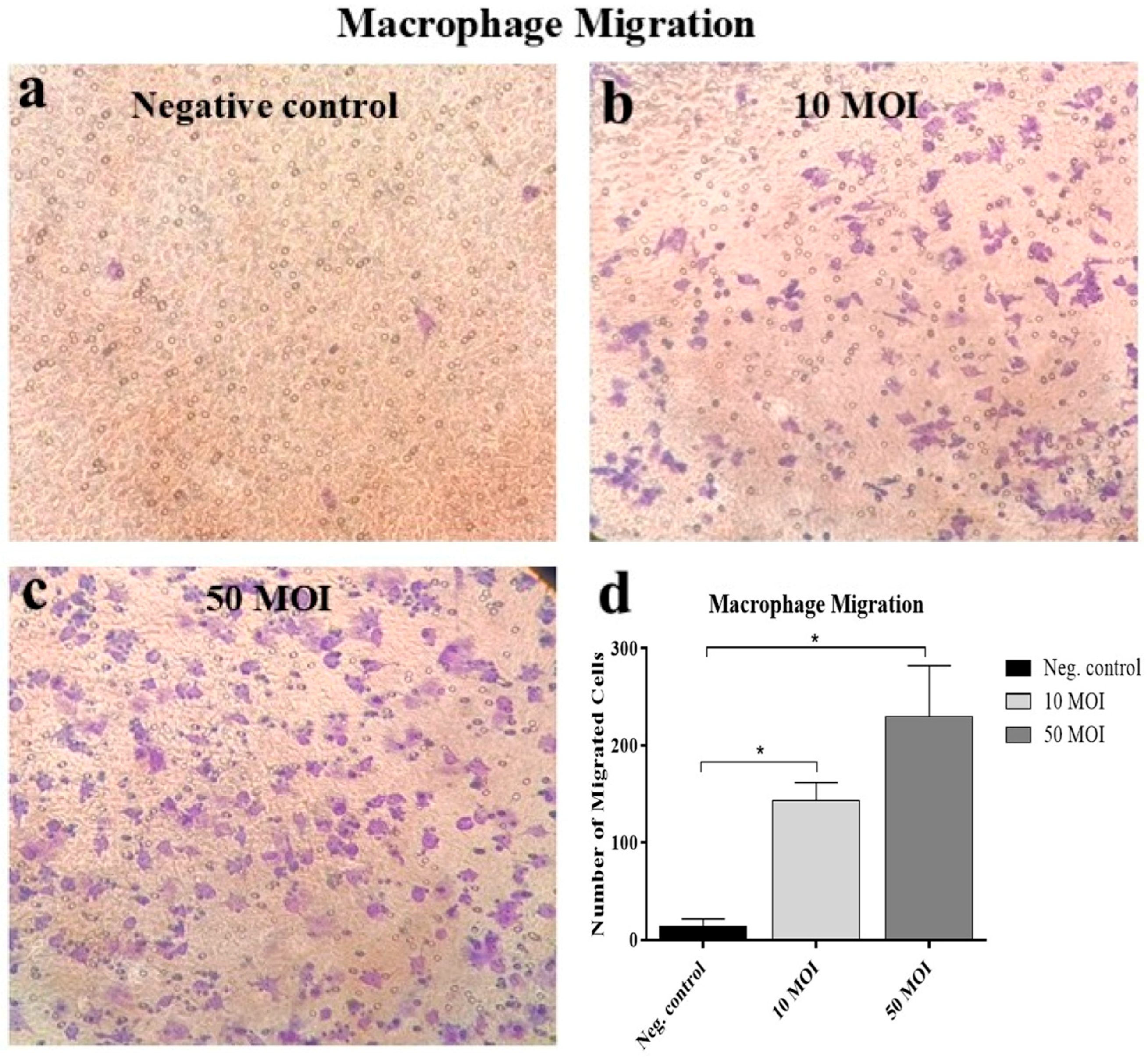 Microorganisms 13 02808 g004