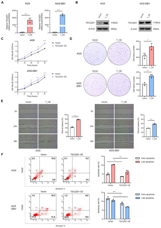 Microorganisms 13 02820 g007