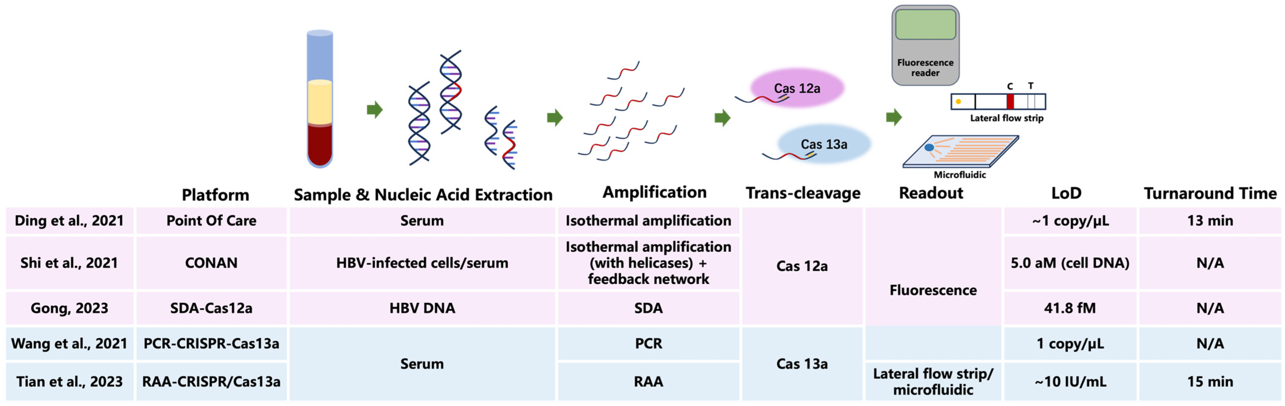 Microorganisms 13 02821 g001