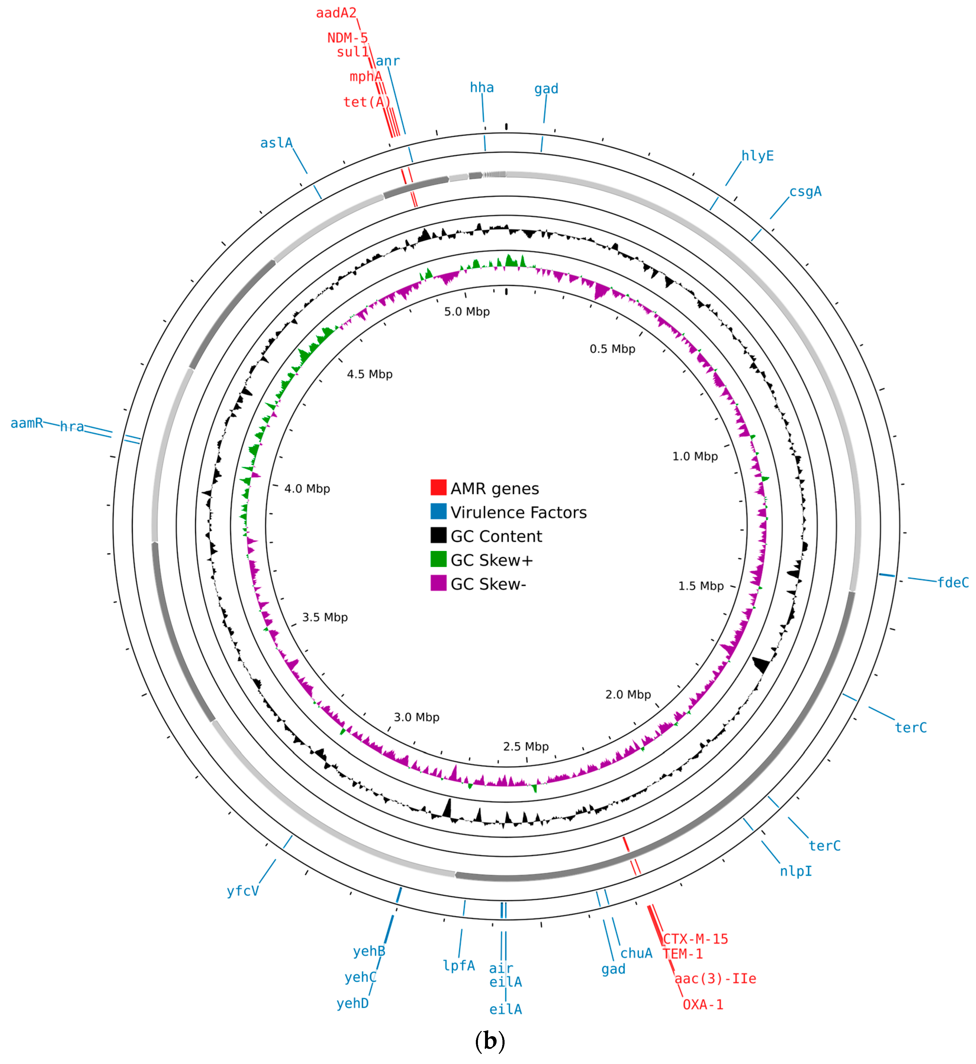 Microorganisms 13 02824 g001b Microorganisms 13 02824 g001b