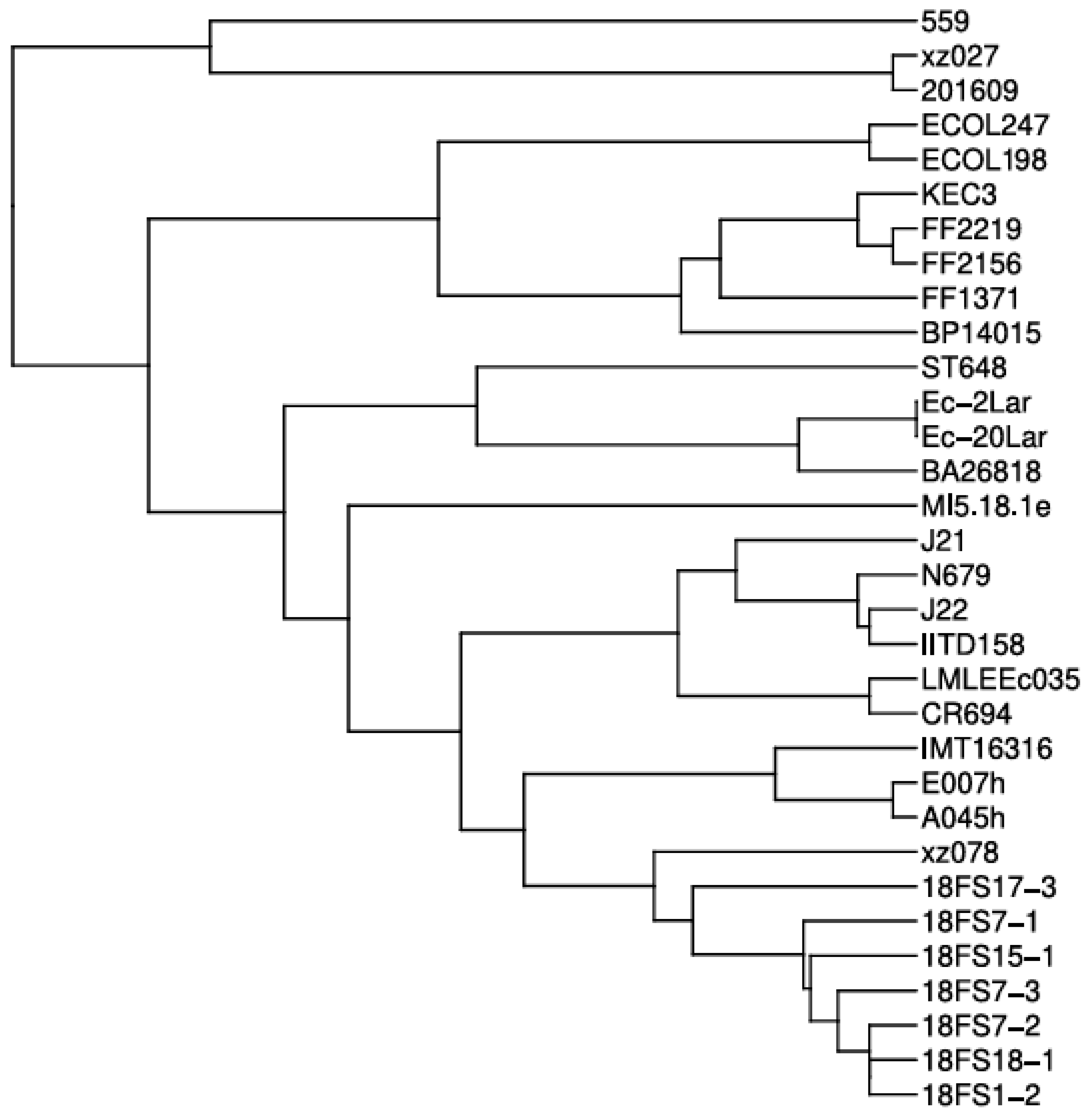 Microorganisms 13 02824 g002 Microorganisms 13 02824 g002