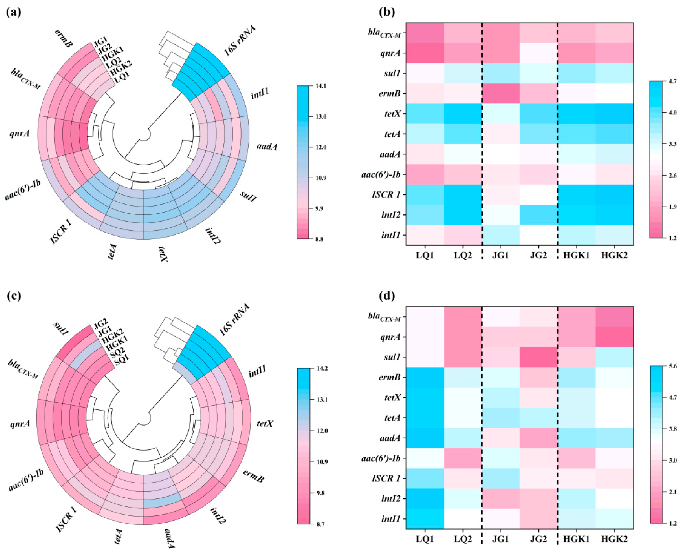 Microorganisms 13 02828 g004